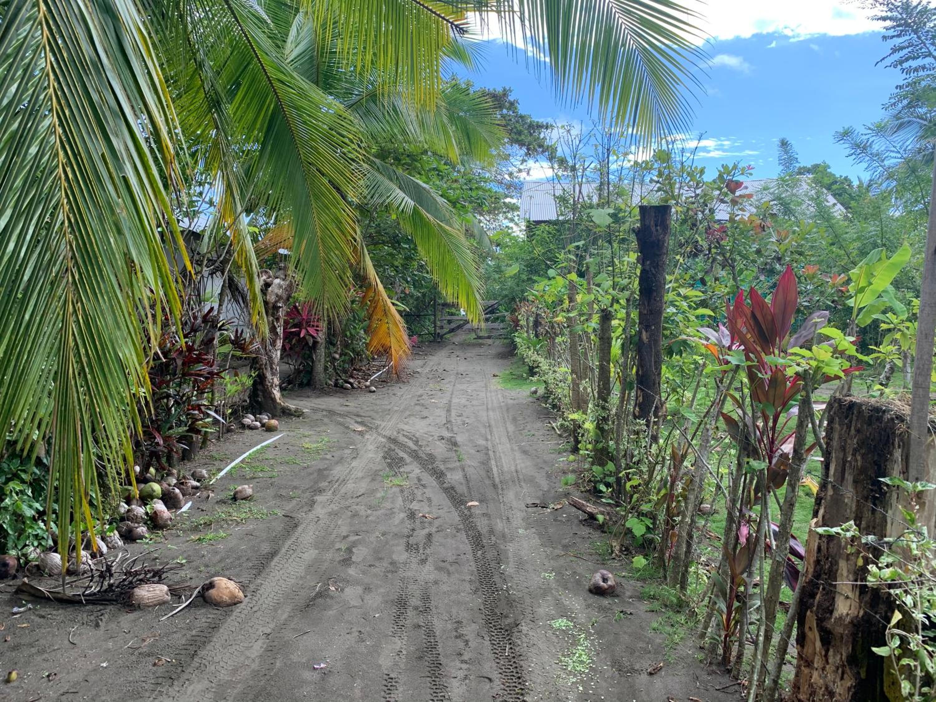 Miguel Surf Camp