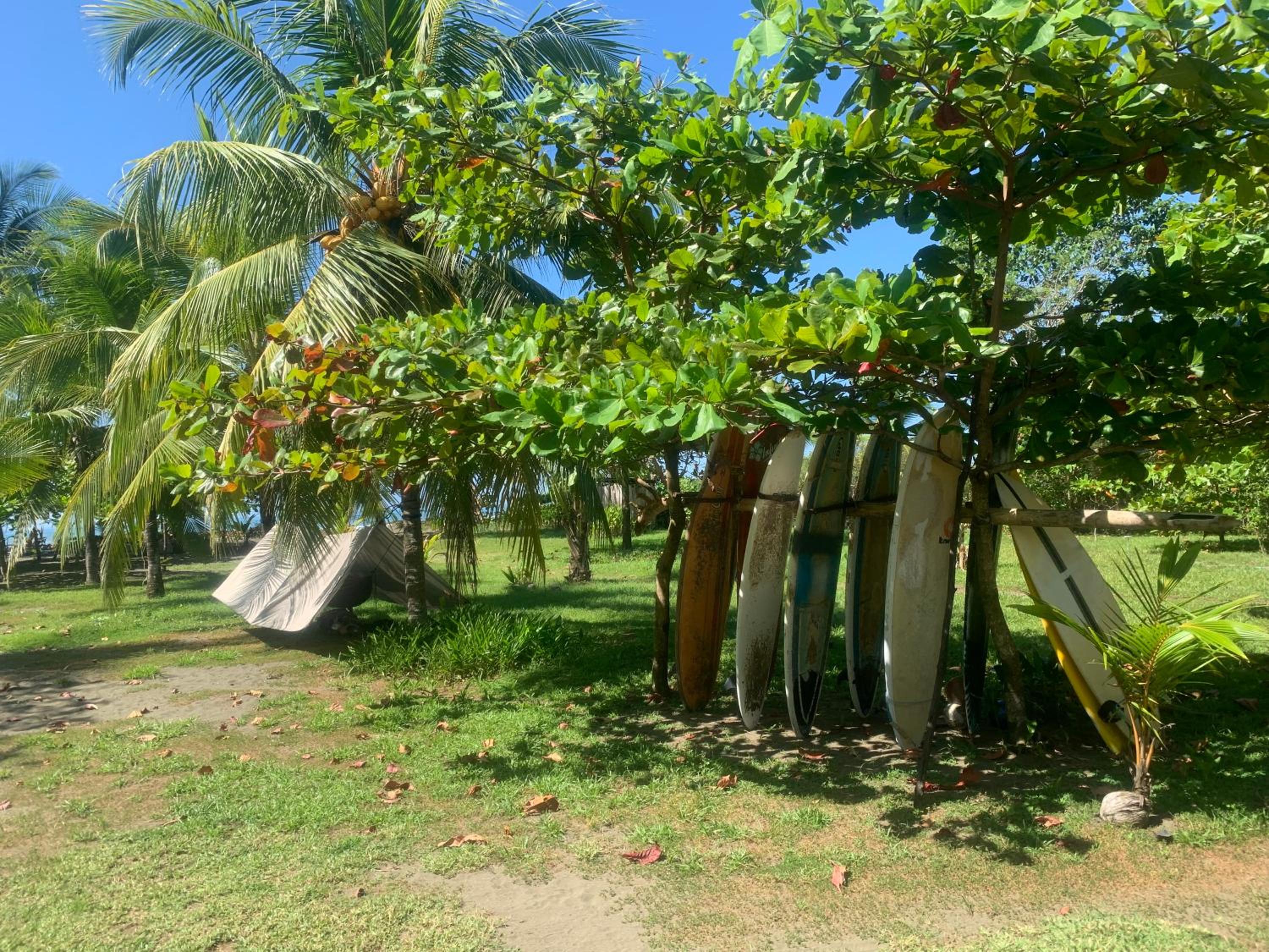 Miguel Surf Camp