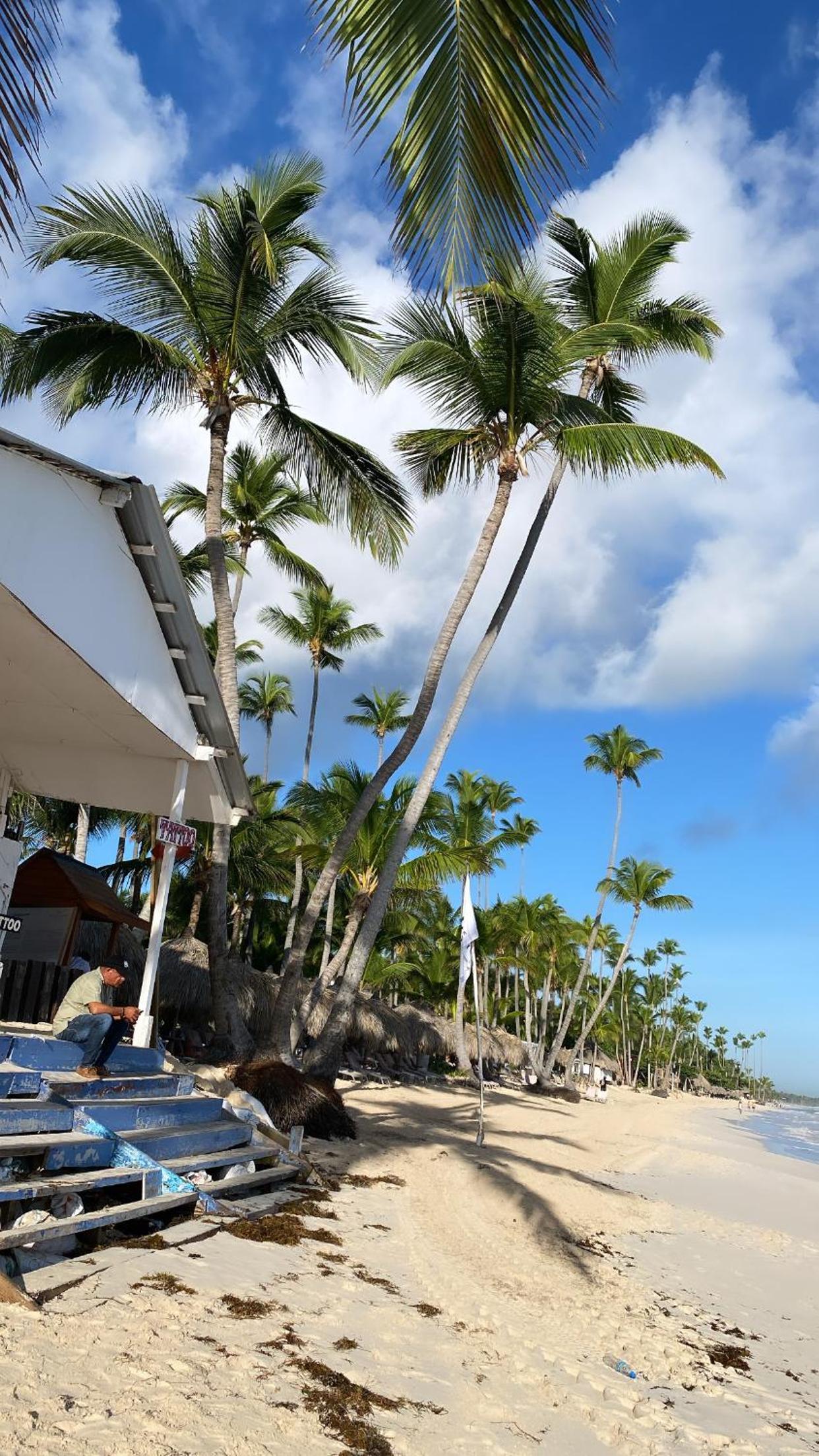 Madonna Pool Beach los Corales