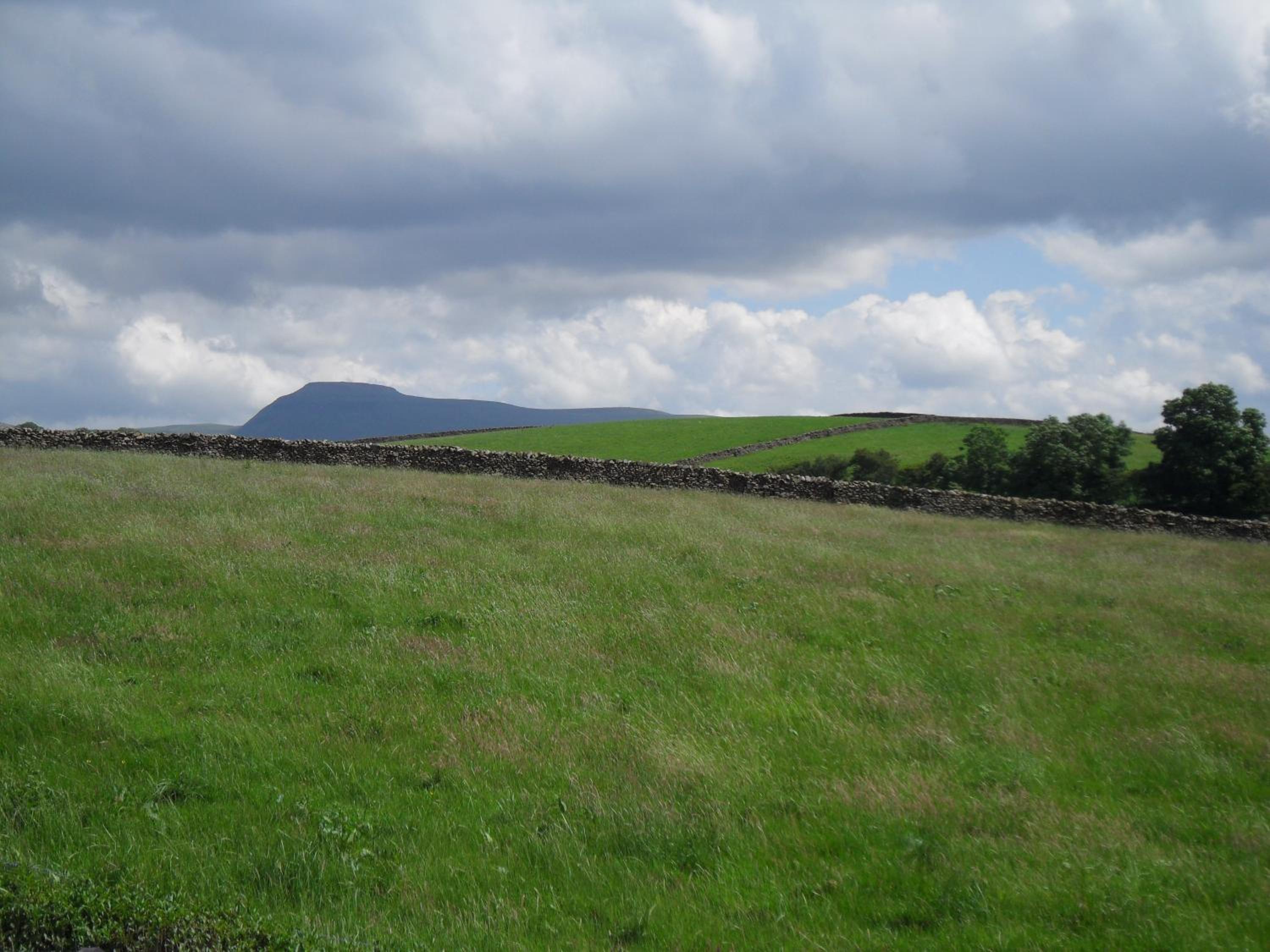Ghyll Beck House bed and breakfast