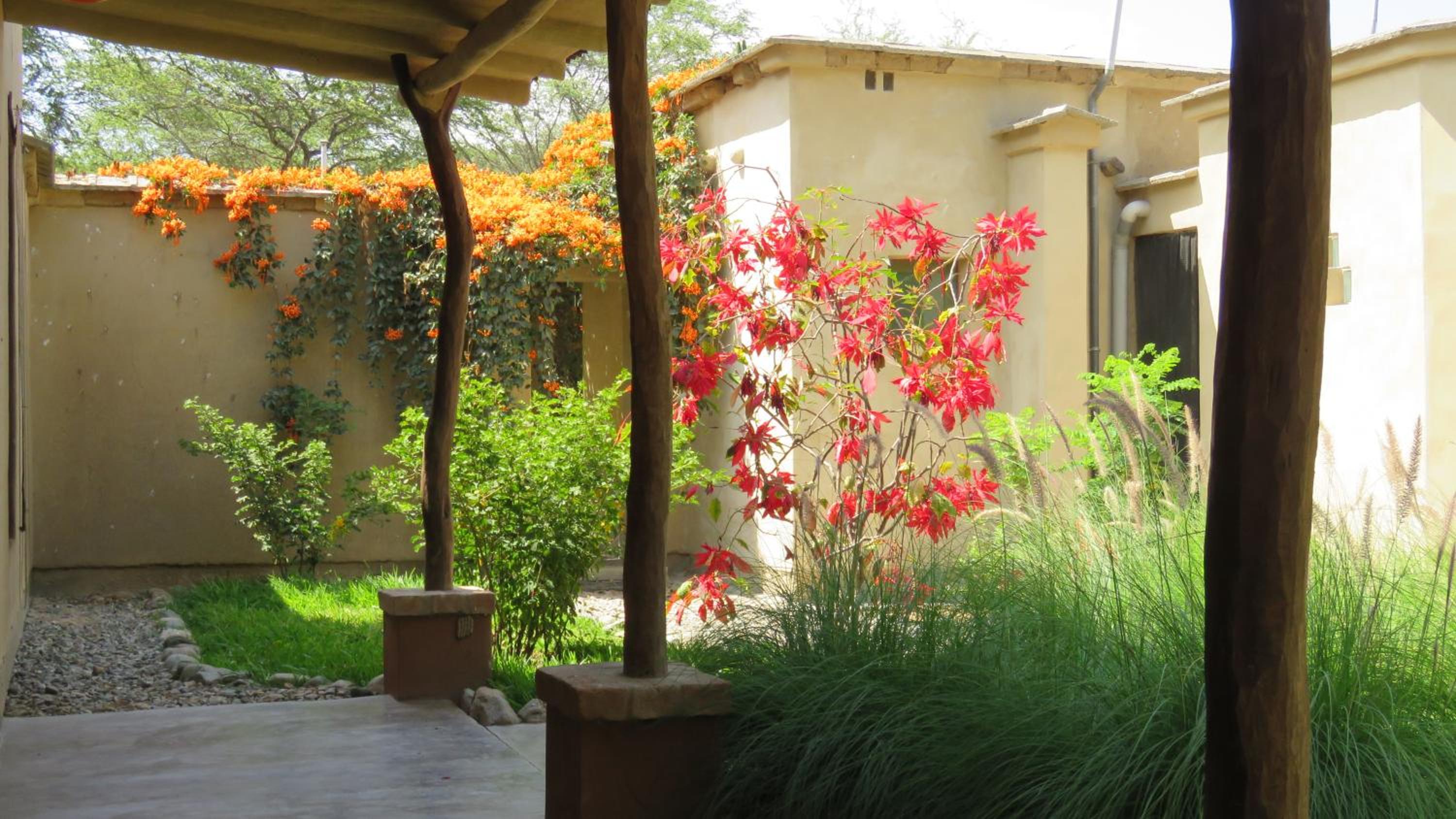 Los Faiques Ecolodge