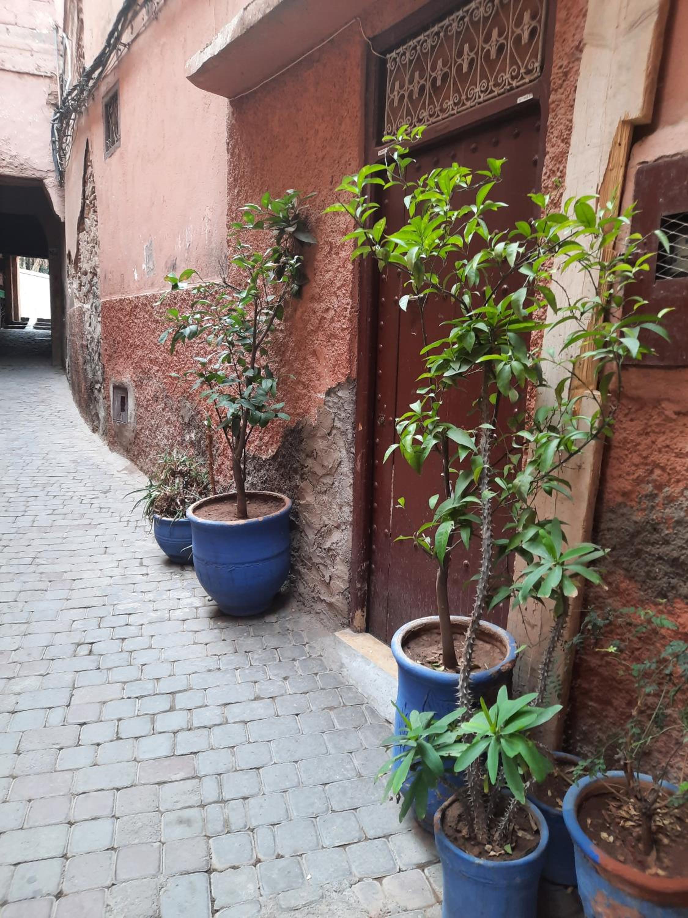 Riad Rayan