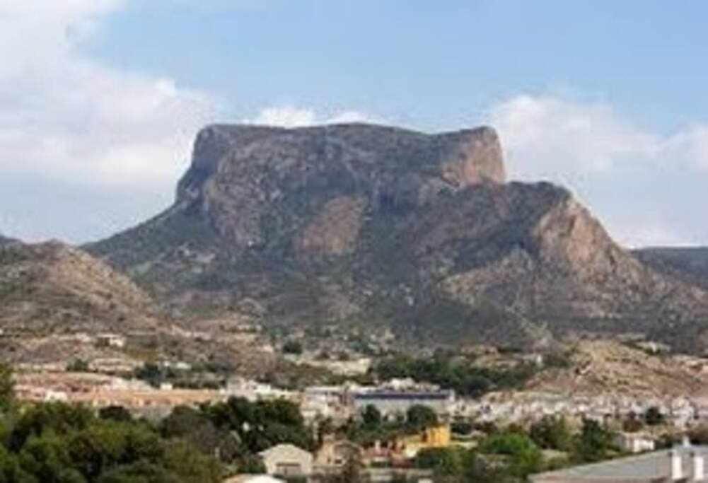 Photo 21