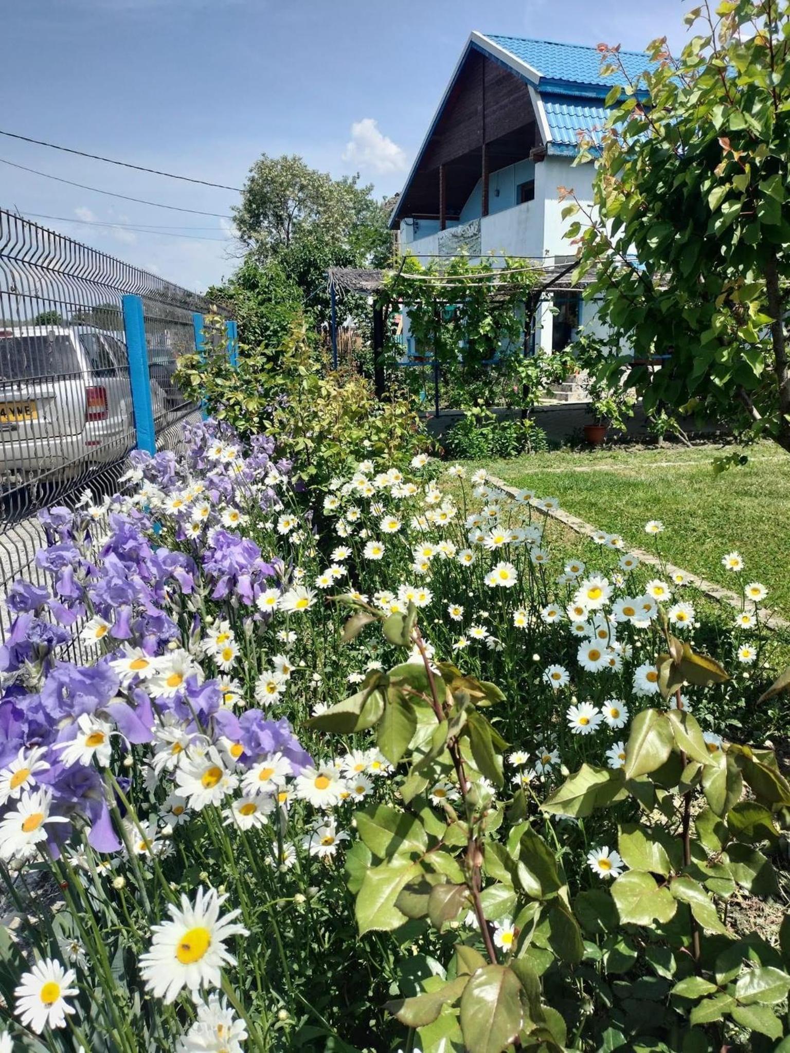 Photo 26