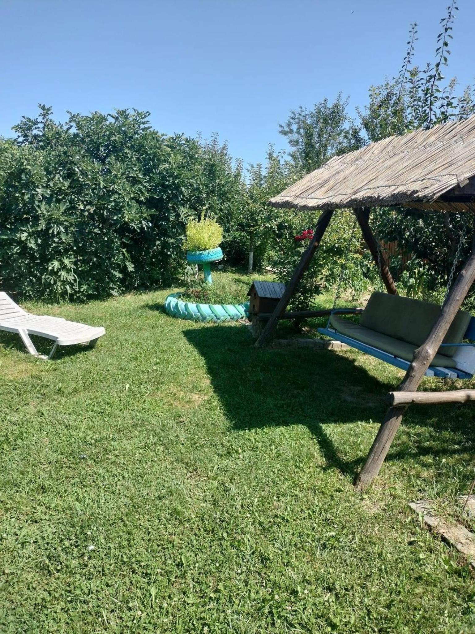 Photo 25