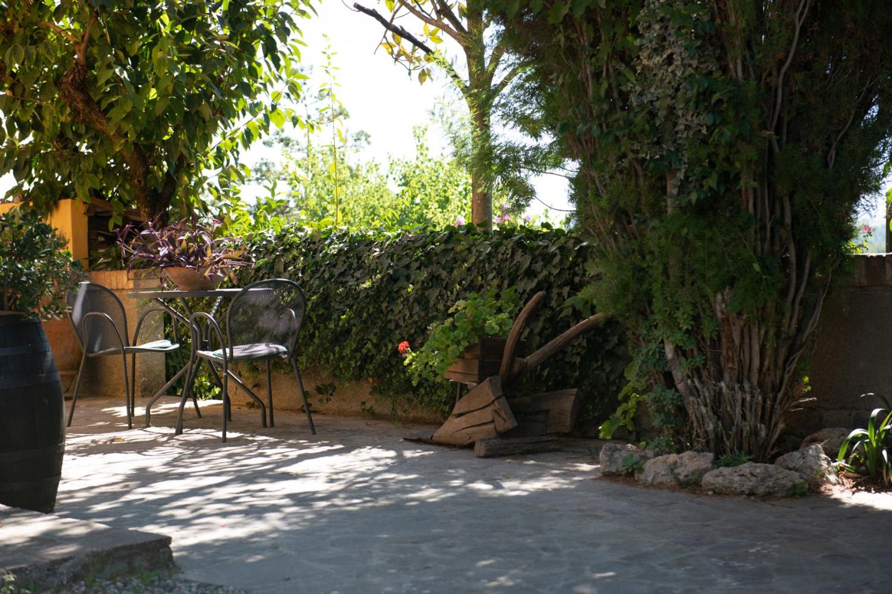 Agriturismo Il Colle