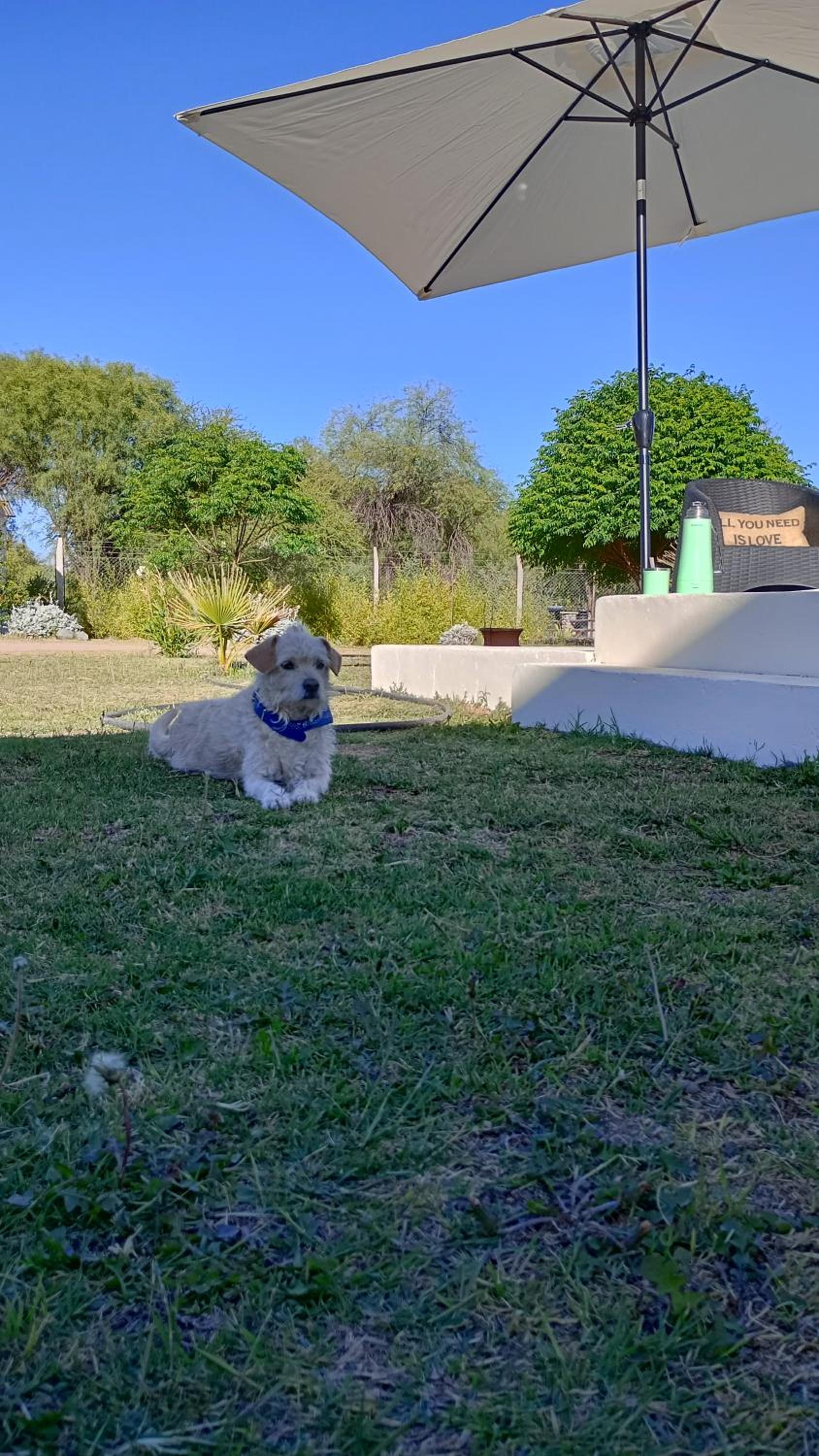 Cabañas Edna