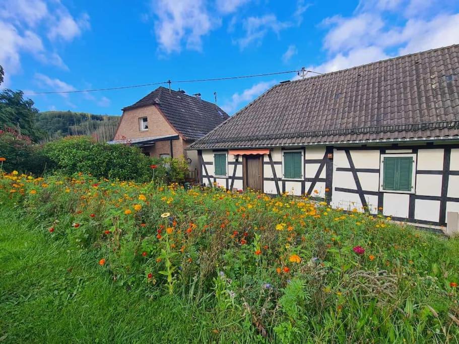 Ferienwohnung besonderer Art