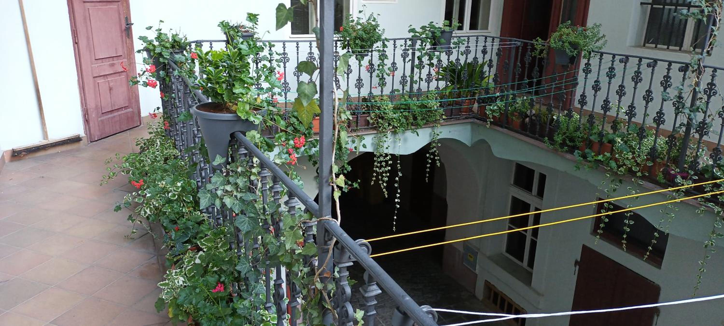 Miraculous Appartement
