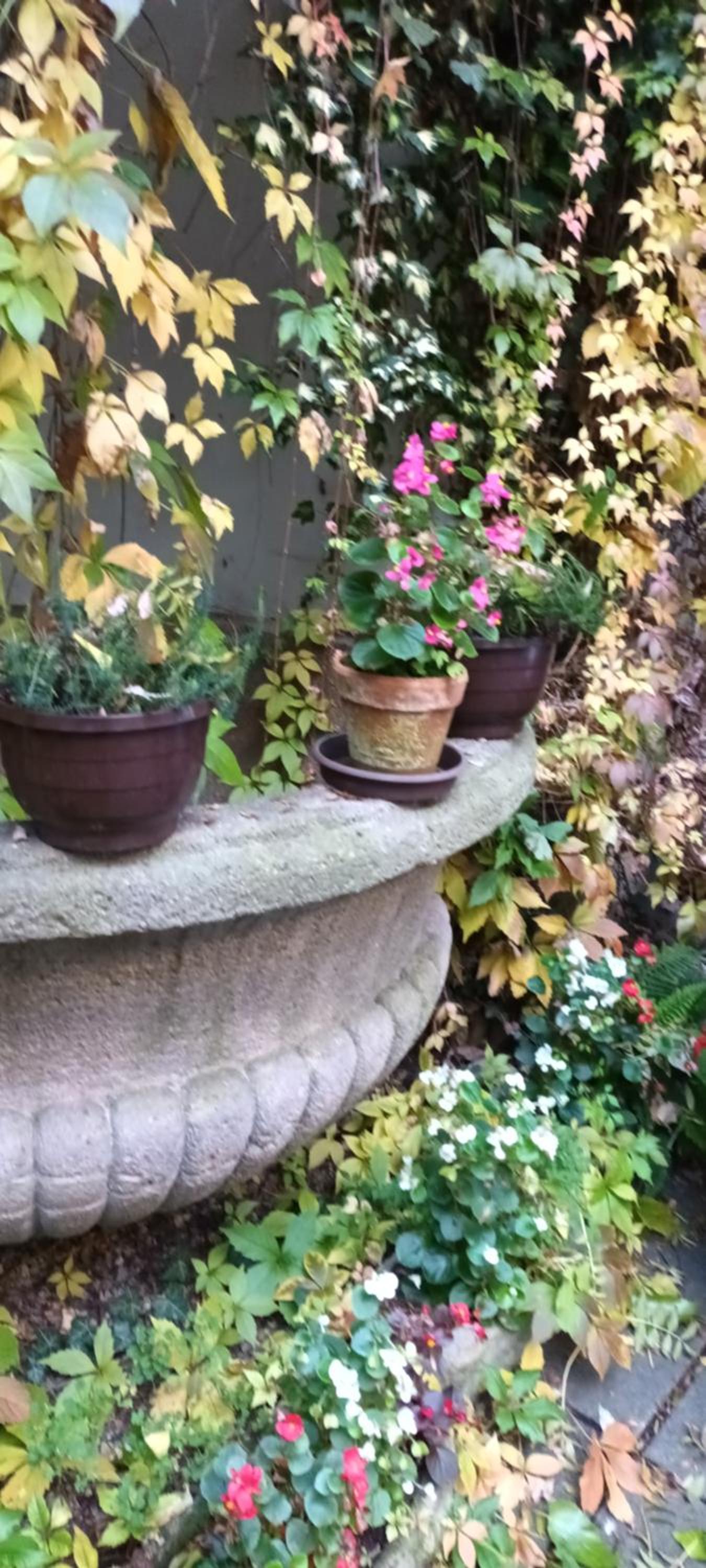Miraculous Appartement