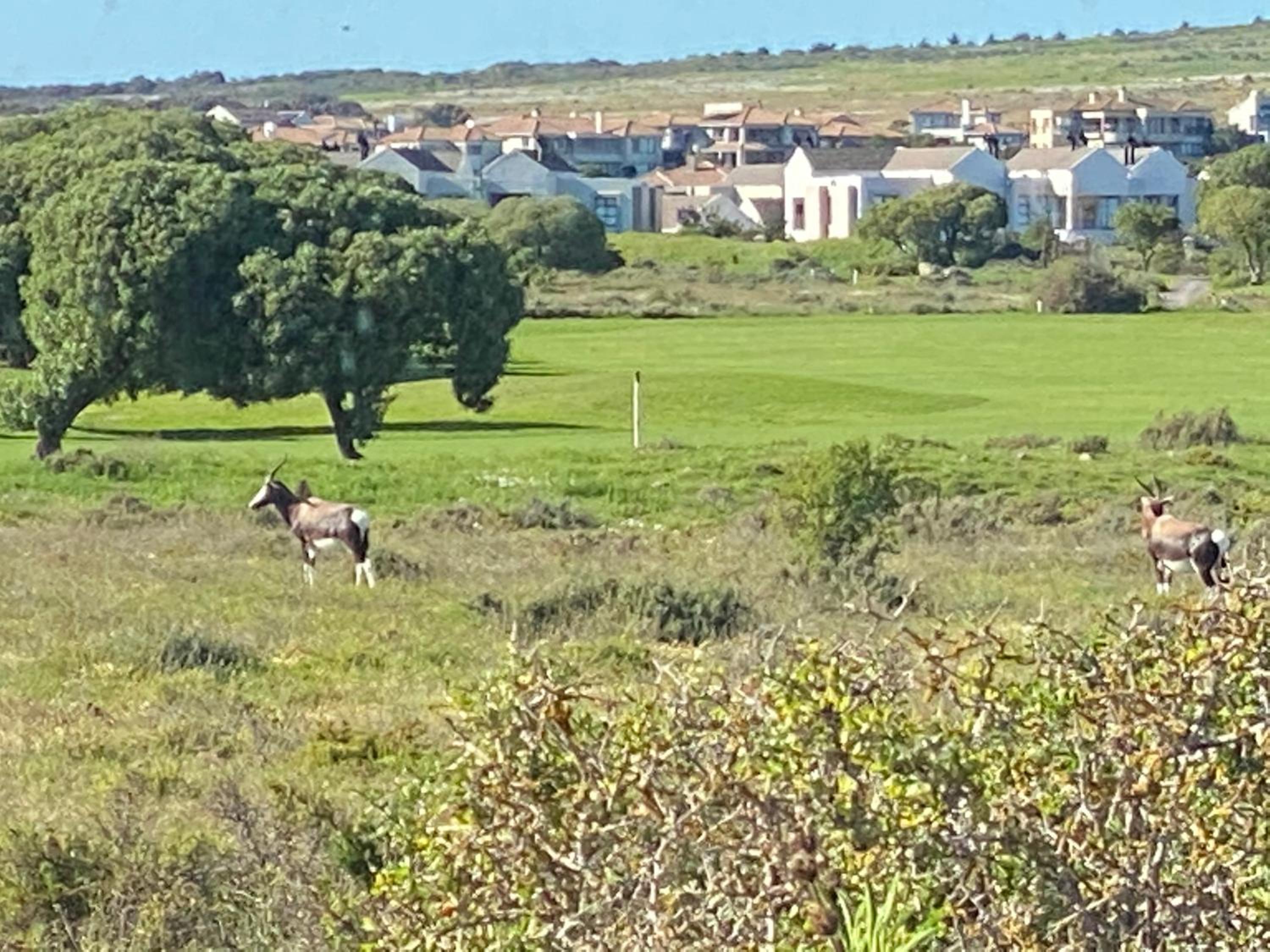 Coastal & Country Living in Langebaan view 4