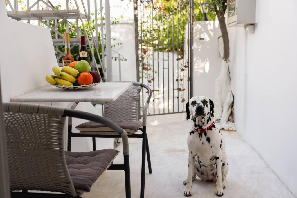 Villa Artemis Cycladic Charmed !