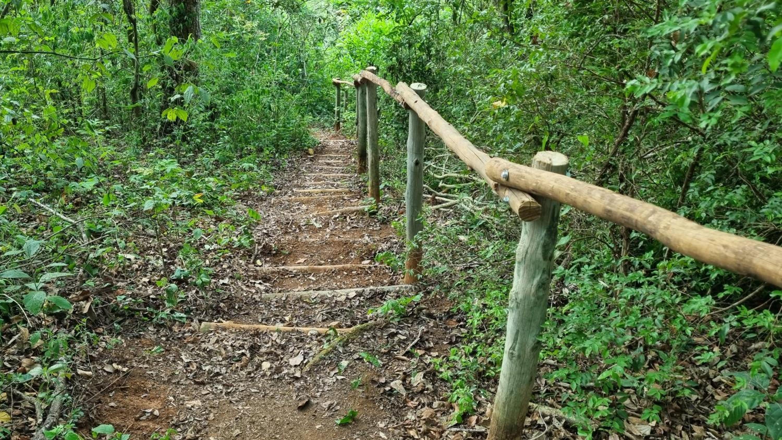Sítio Roda d'Água