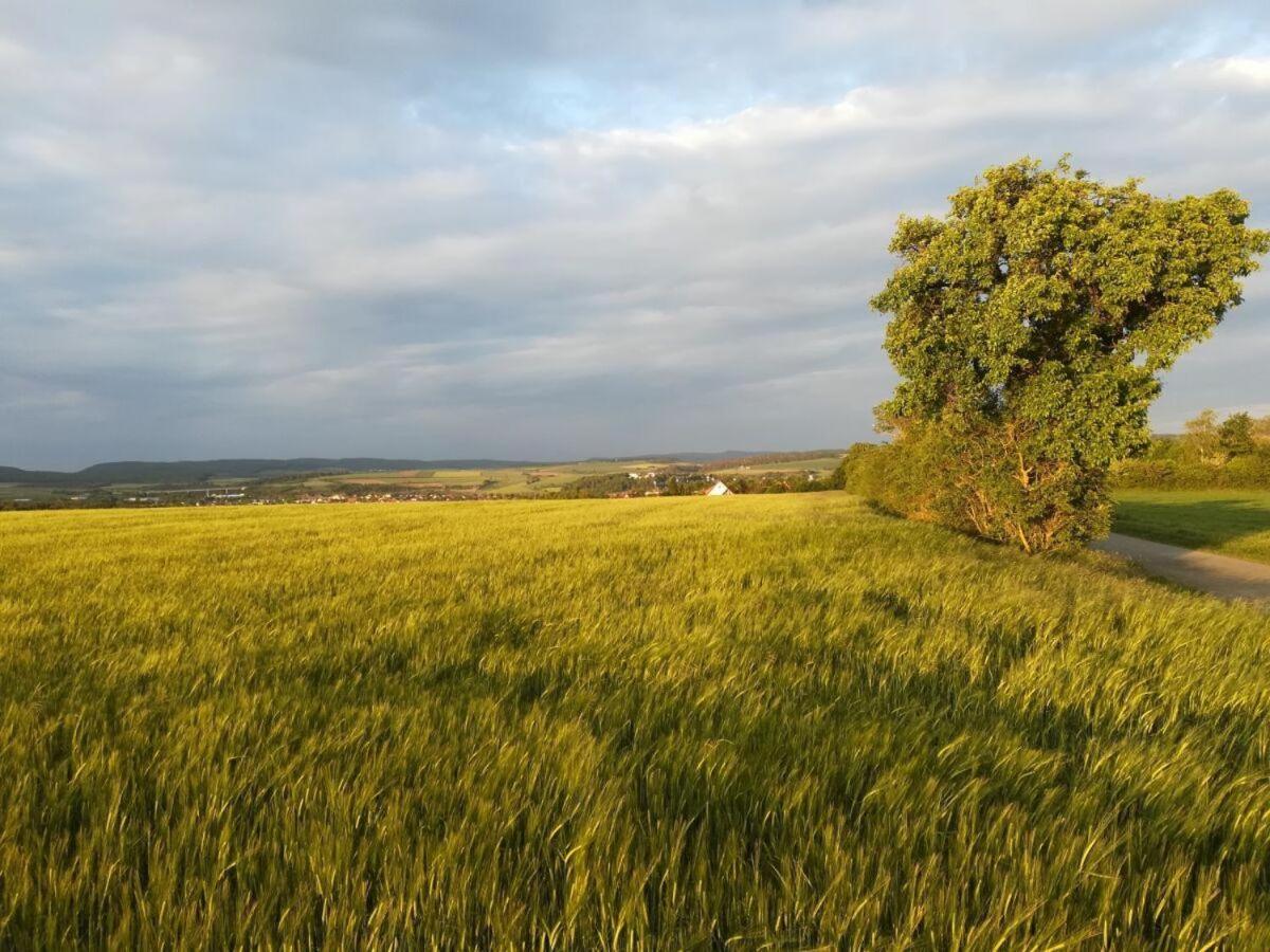 Am-Turm