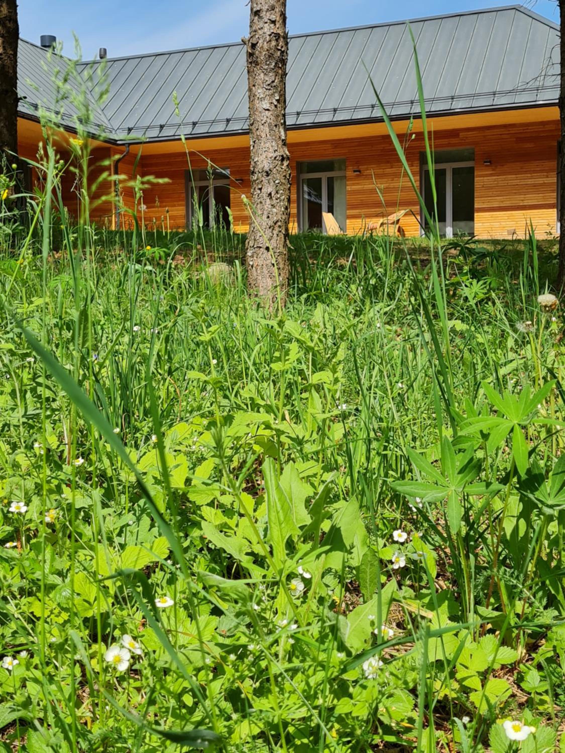 Miško Santorija