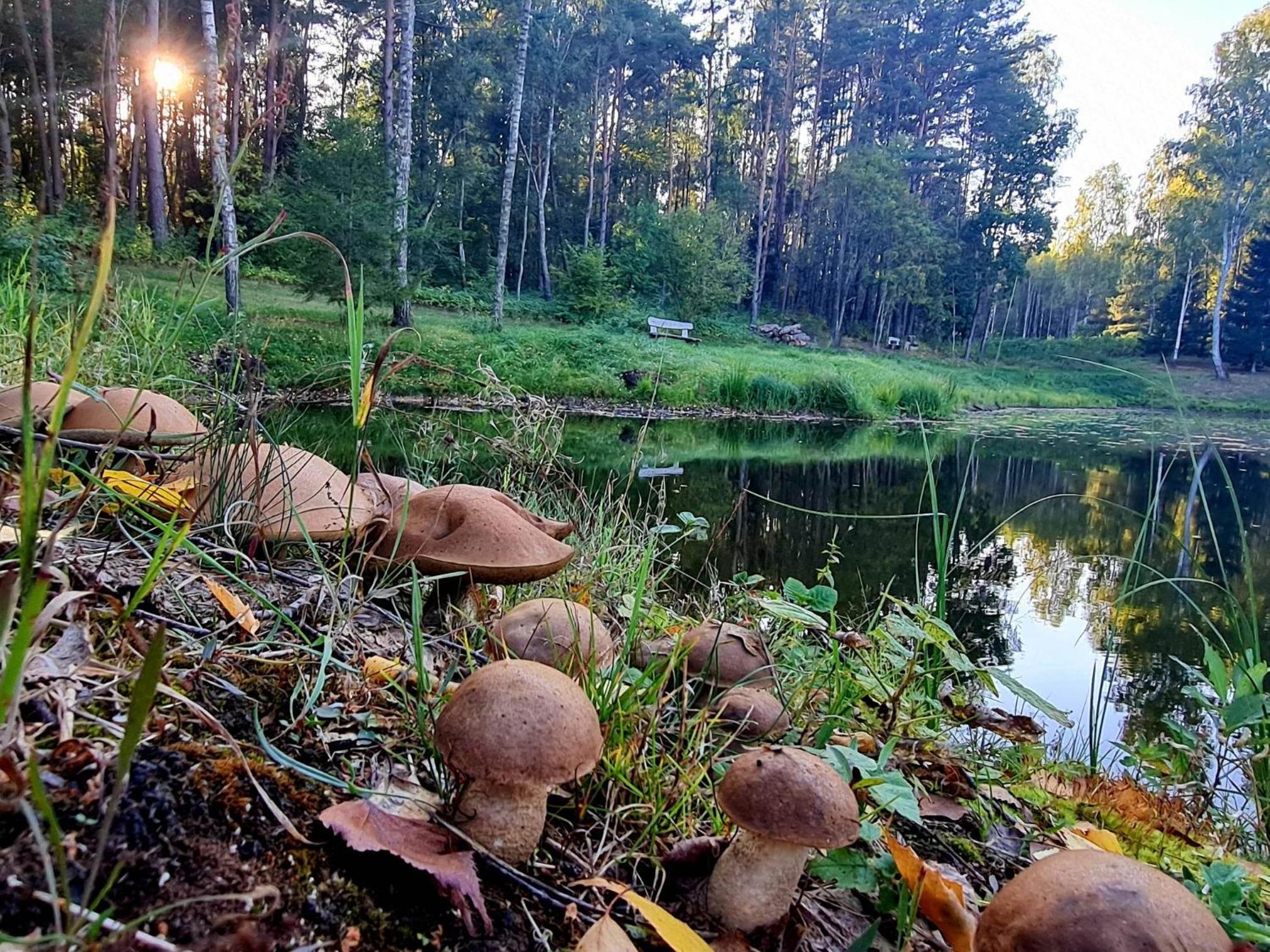 Miško Santorija
