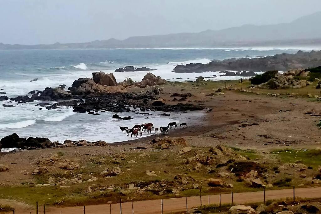 Linda Cabaña con Vista al Mar a Pasos de la Playa