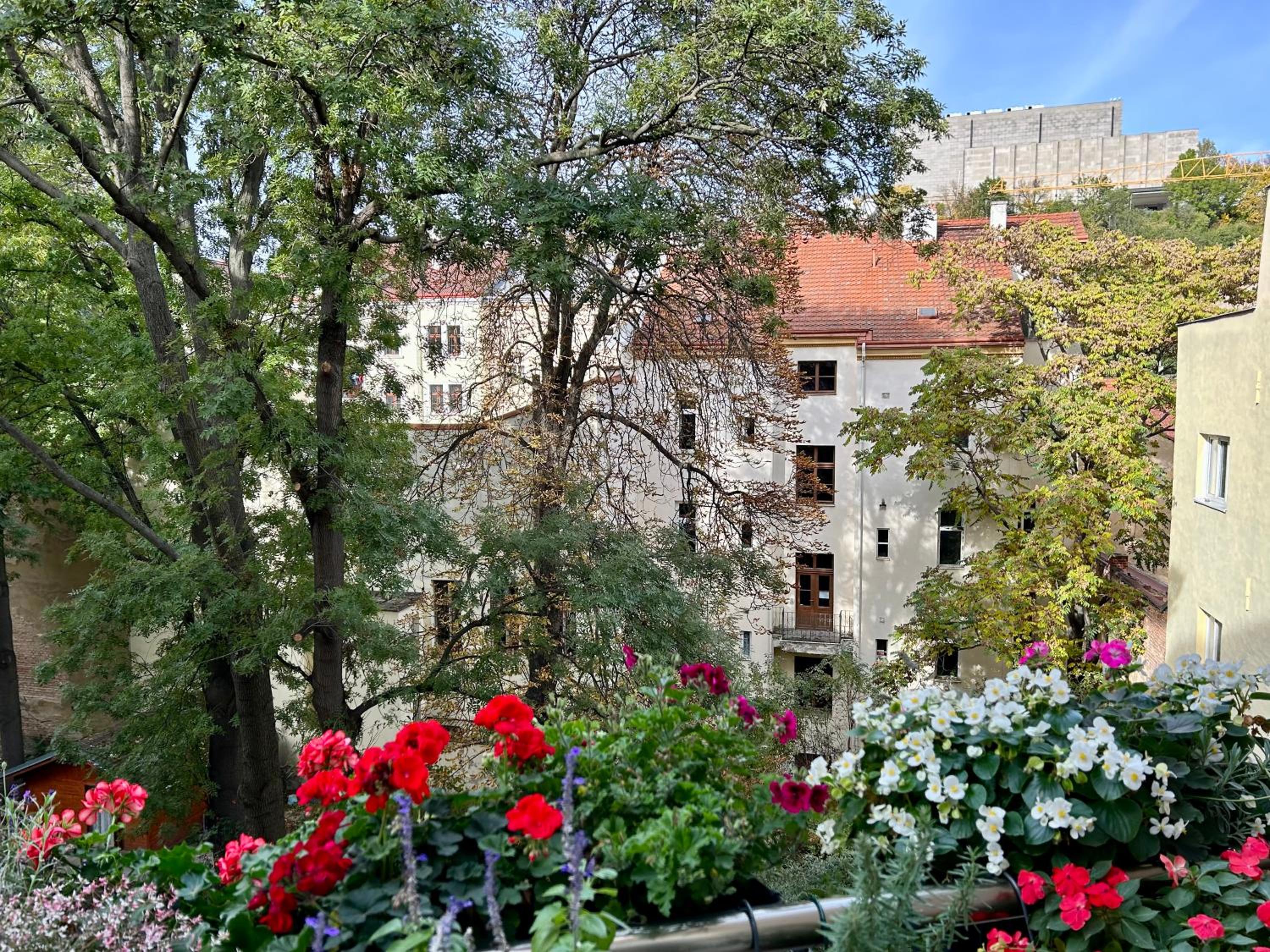 Green balcony & king size bed