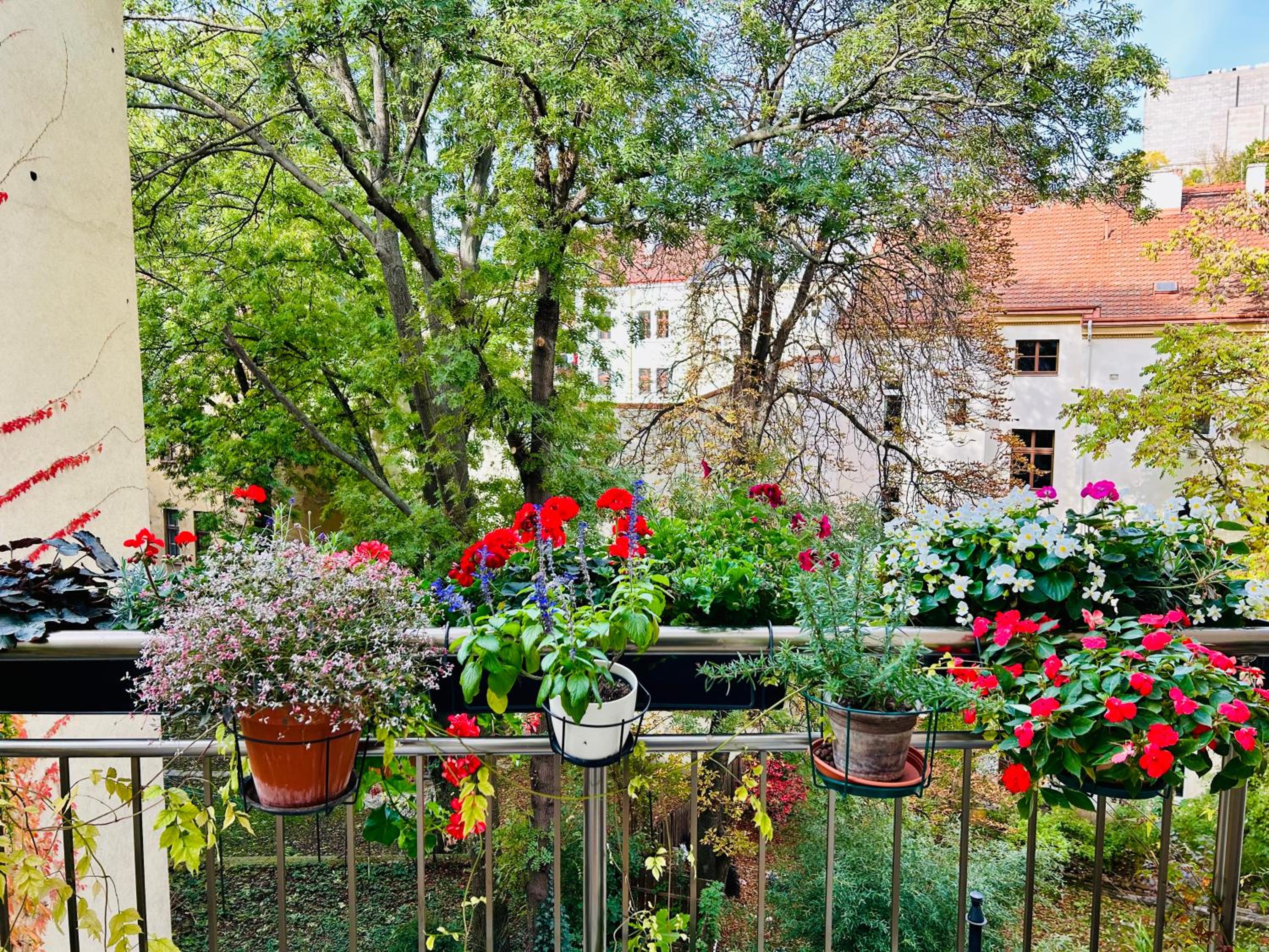 Green balcony & king size bed