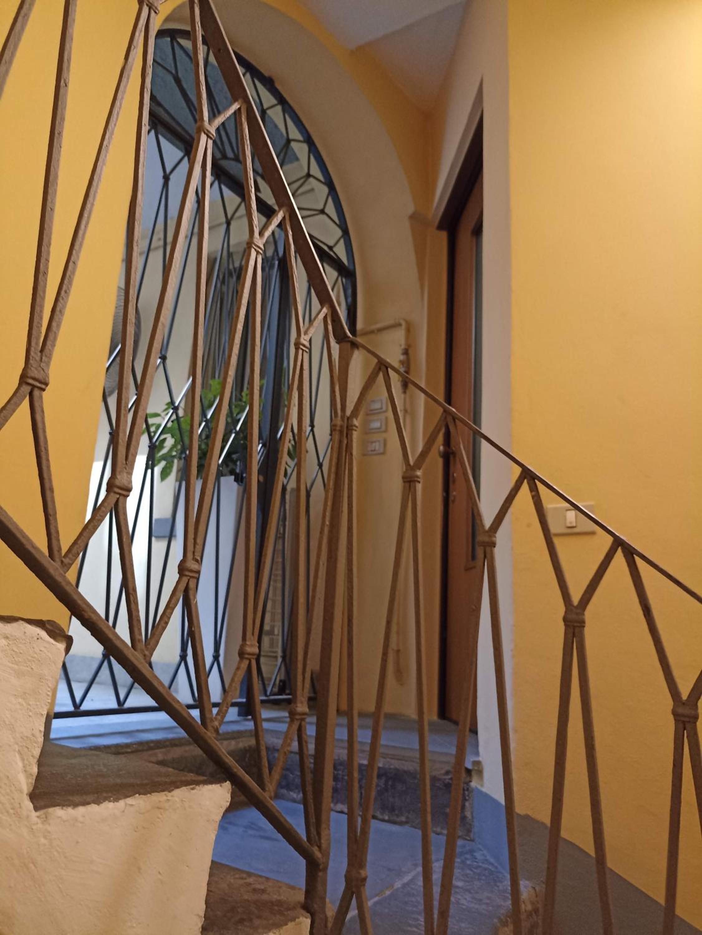 L'ibiscus e il mare photo 4