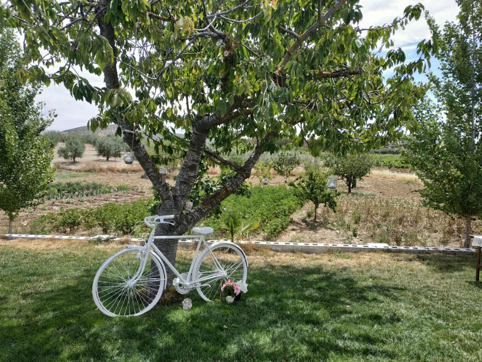 Casa Rural Huerta Los Caños