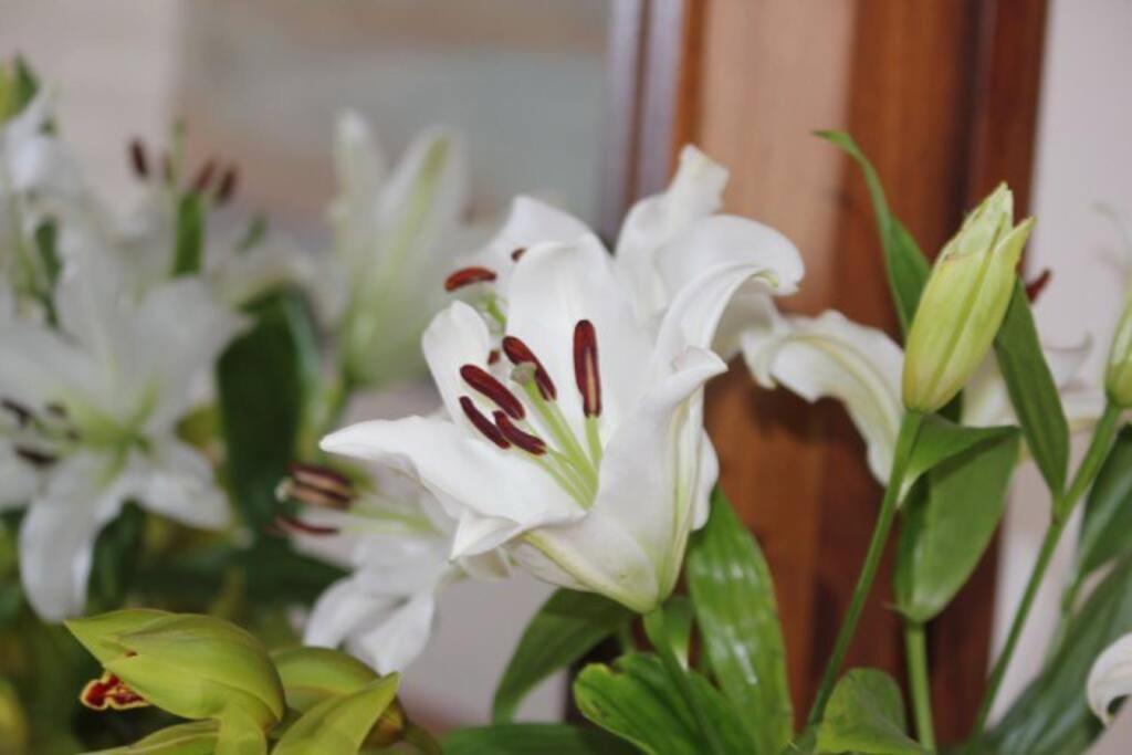 Luxberry House - In the heart of Berry