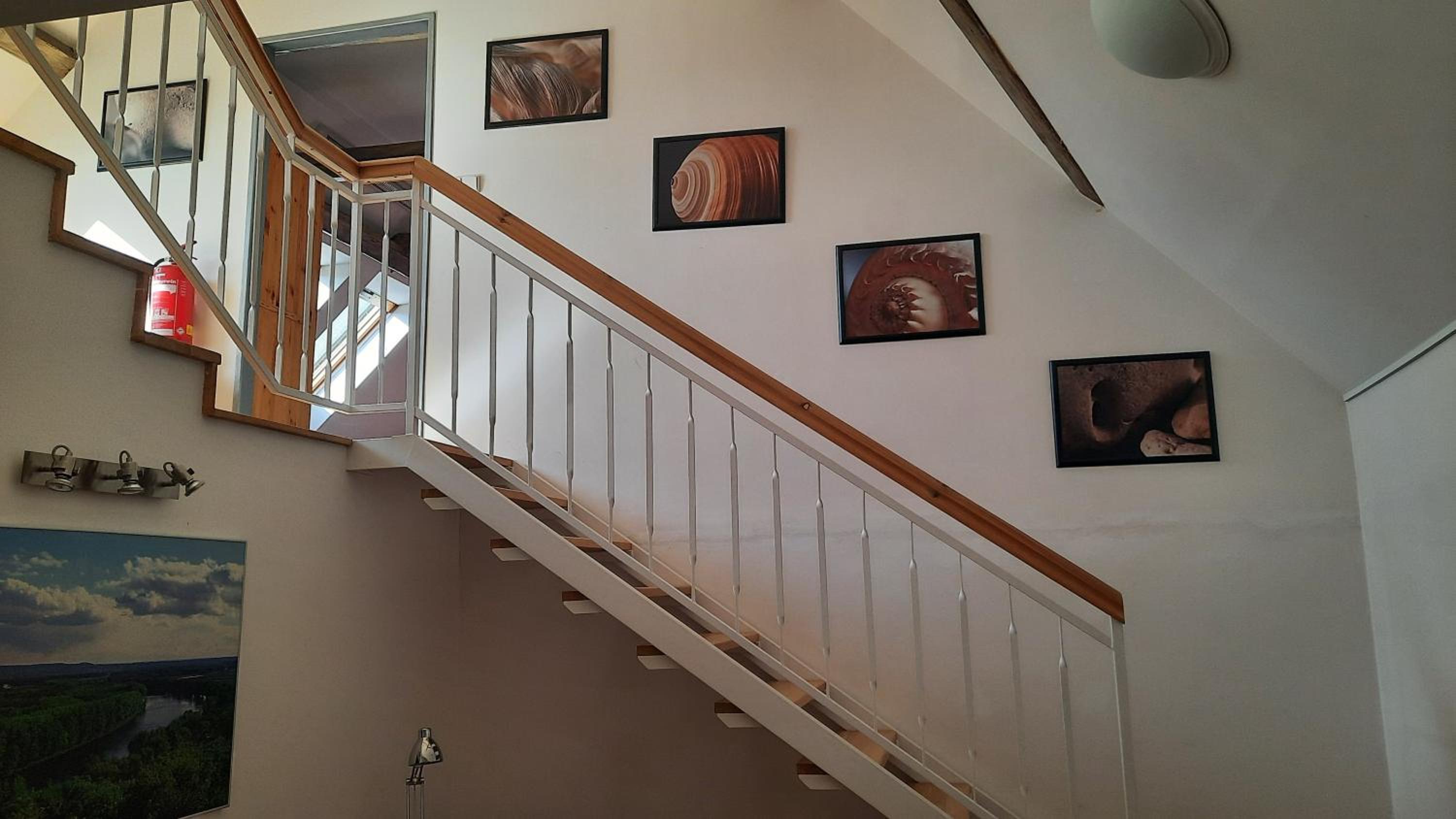 Apartmán Franz Josef