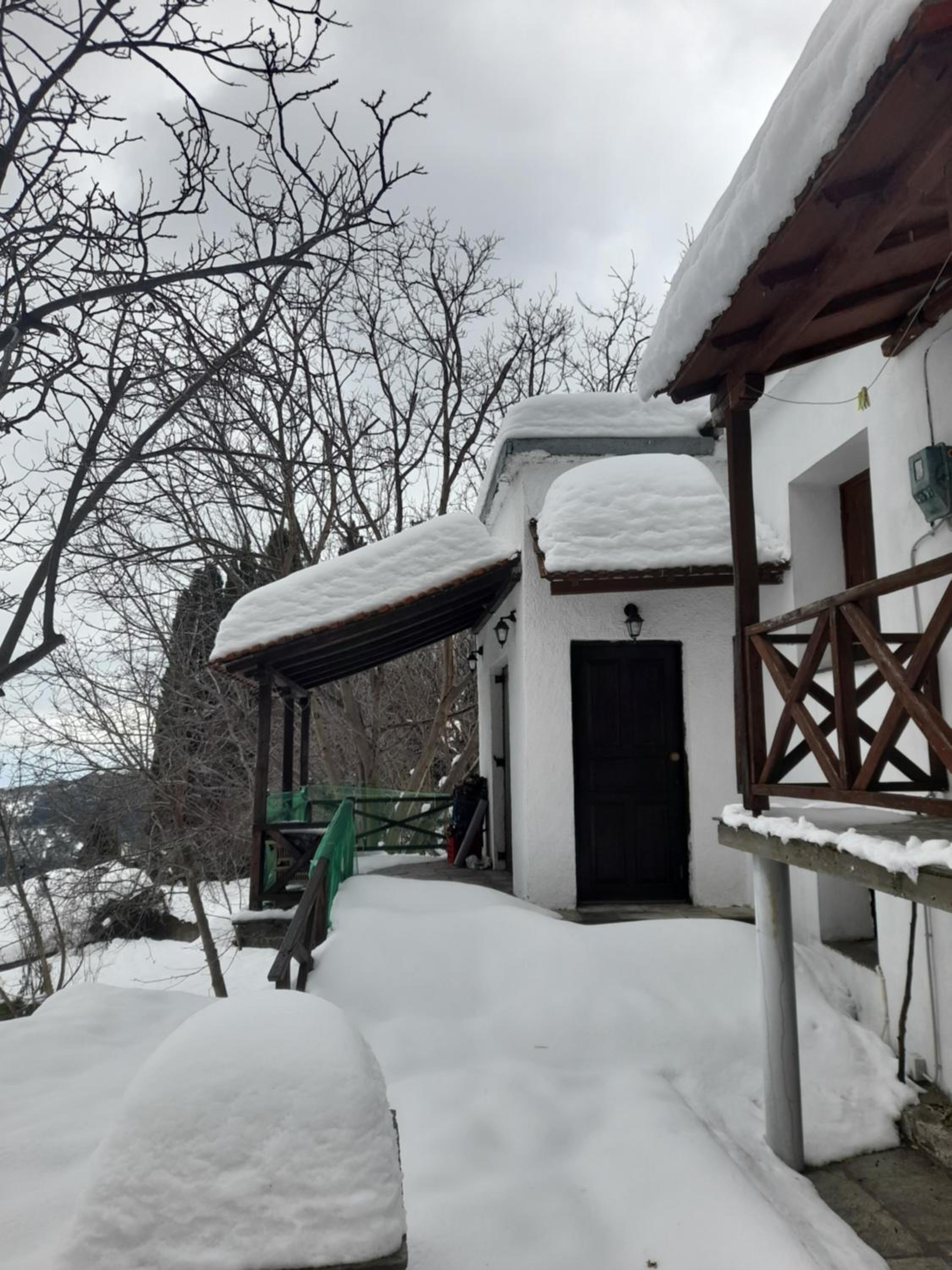 Photo 31