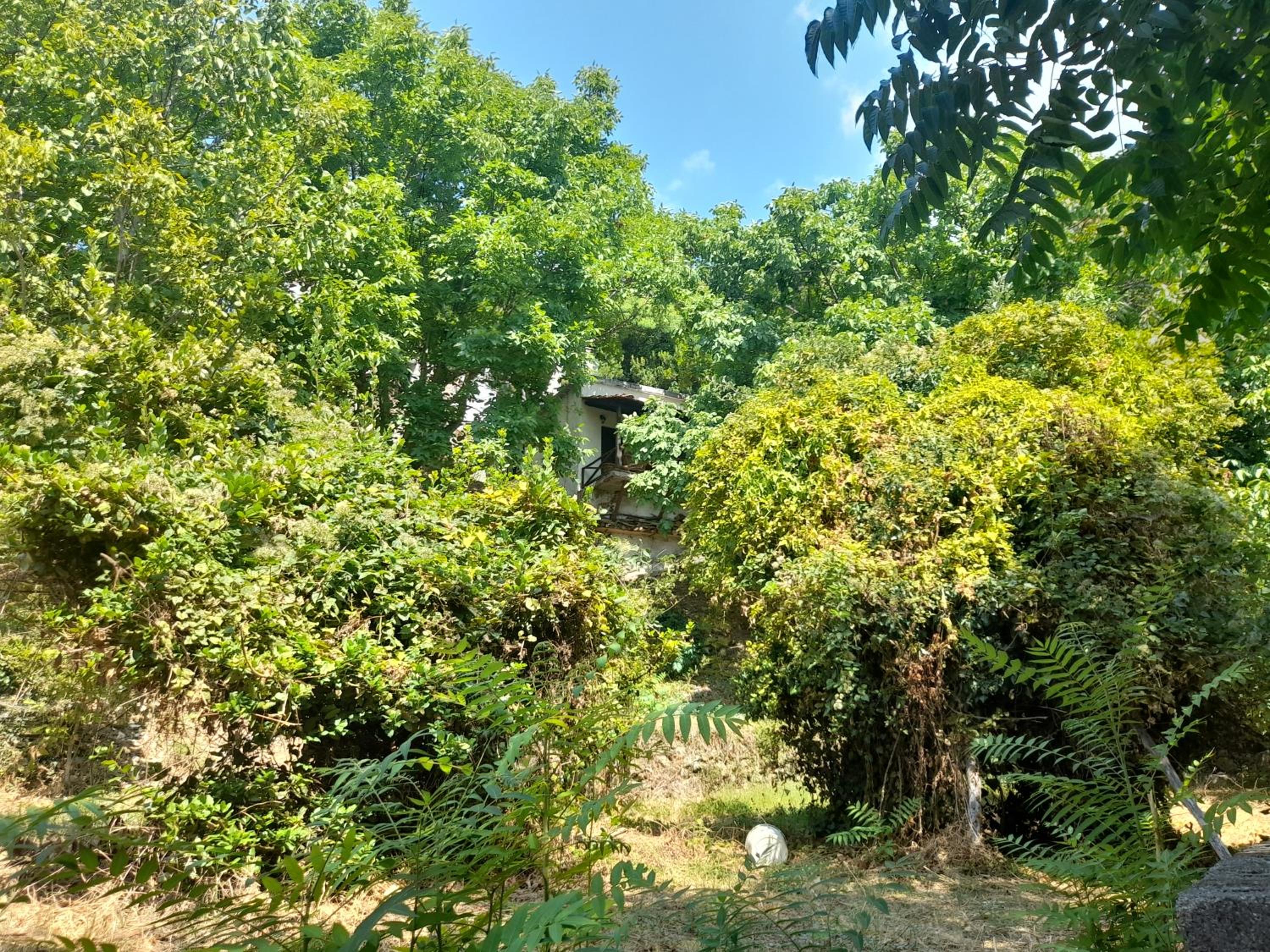 Photo 38