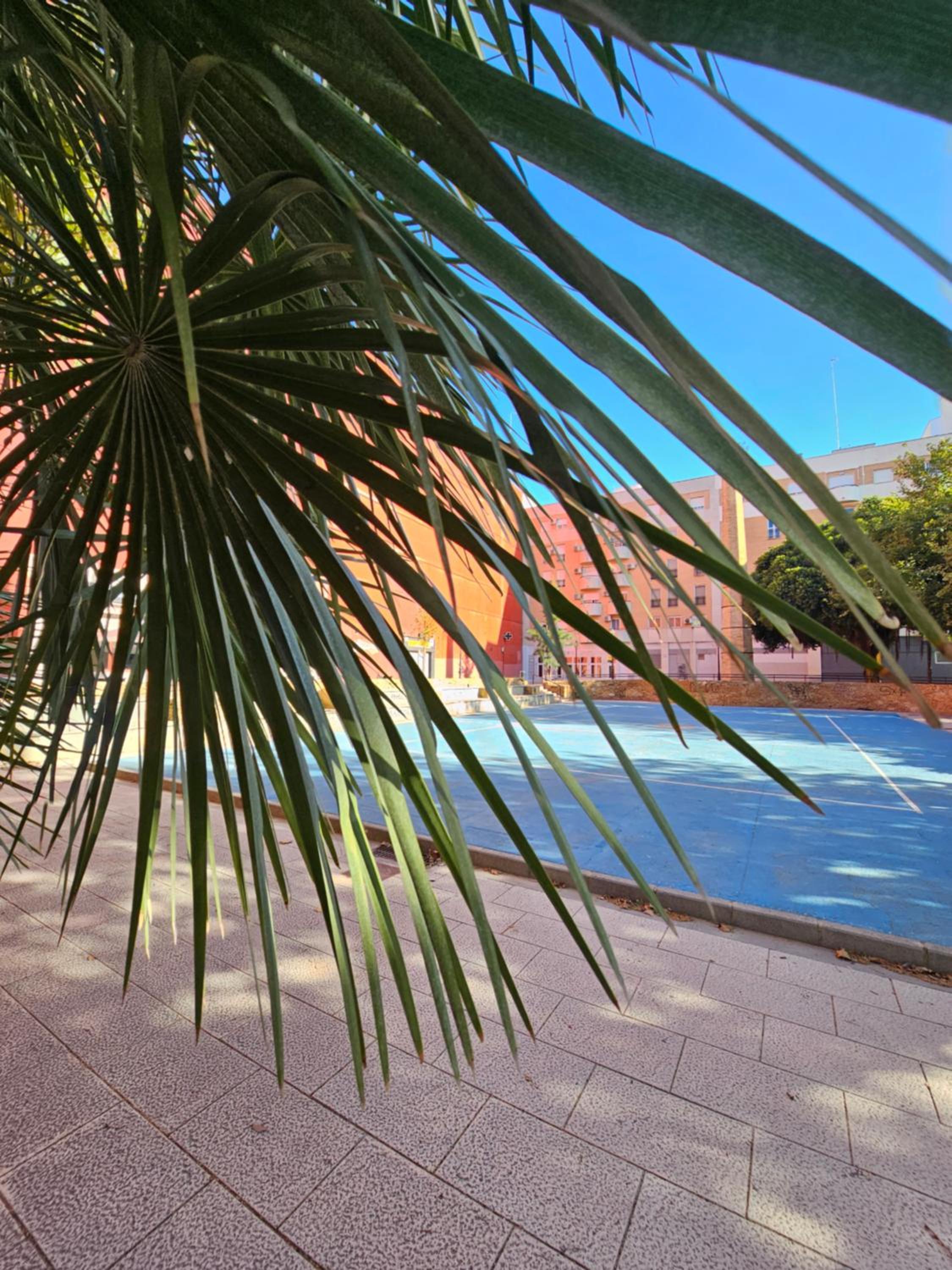 Lounge garden sea mint fresh