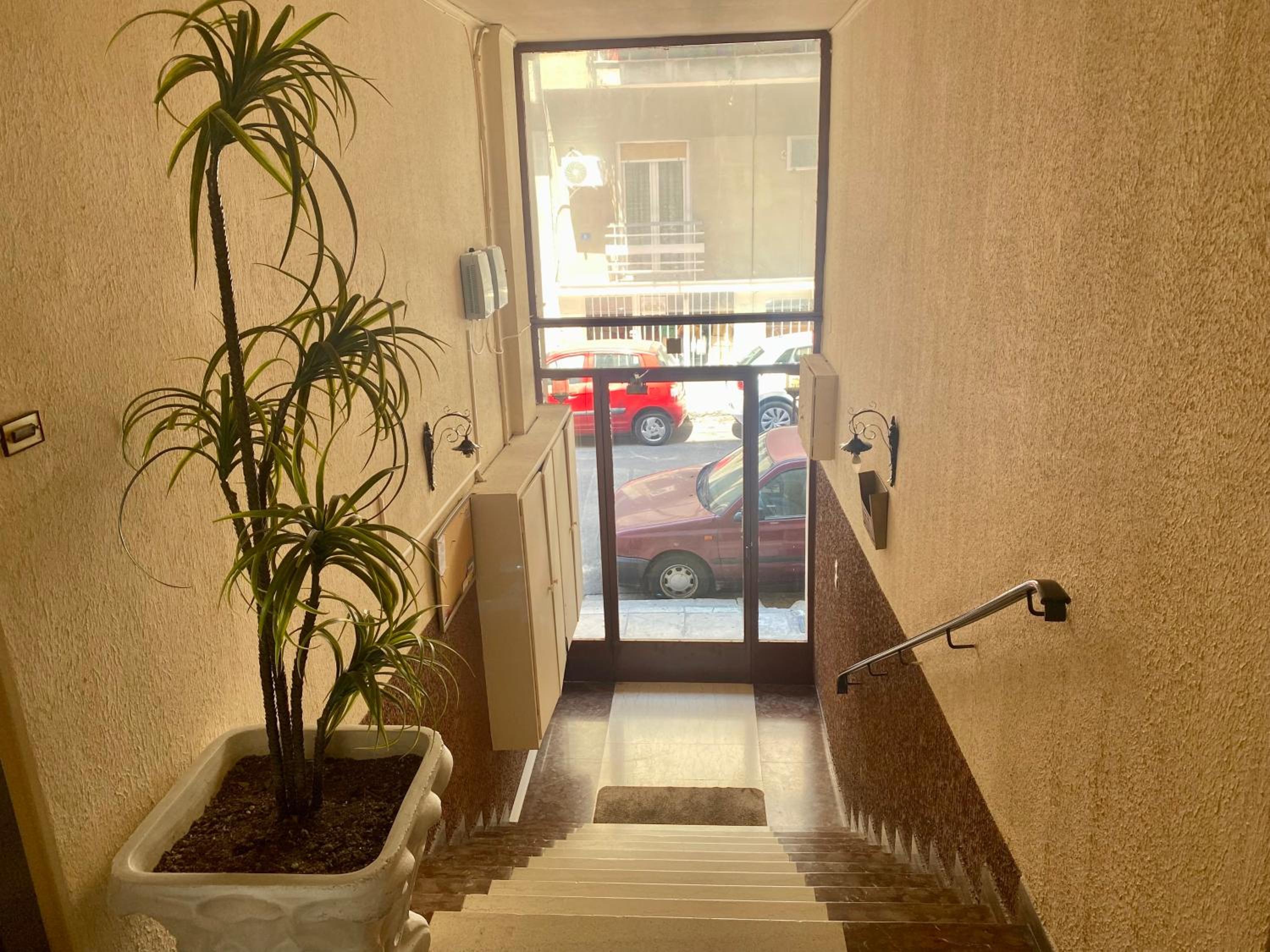 Olive tree Deluxe Apt 70m from Athens Metro