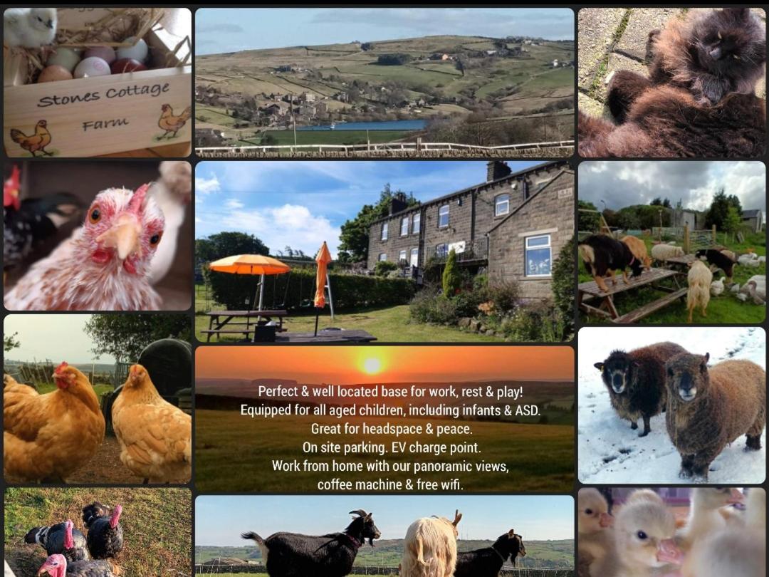 Stones Cottage Farm, nr Haworth, family friendly for infants teens ASD, gaming barn inc retro gaming, hot tub, animals, arts, crafts, free wifi, free parki view 3