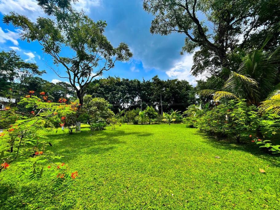 El encanto tropical, a minutos del IRTRA view 5