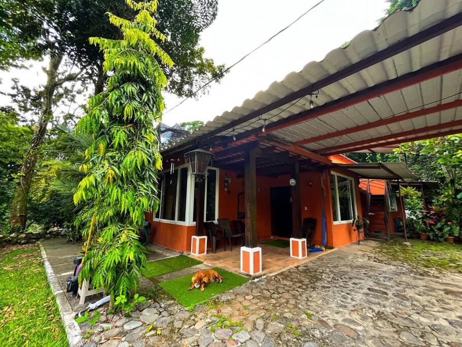 Hotel El encanto tropical, a minutos del IRTRA - Image 1