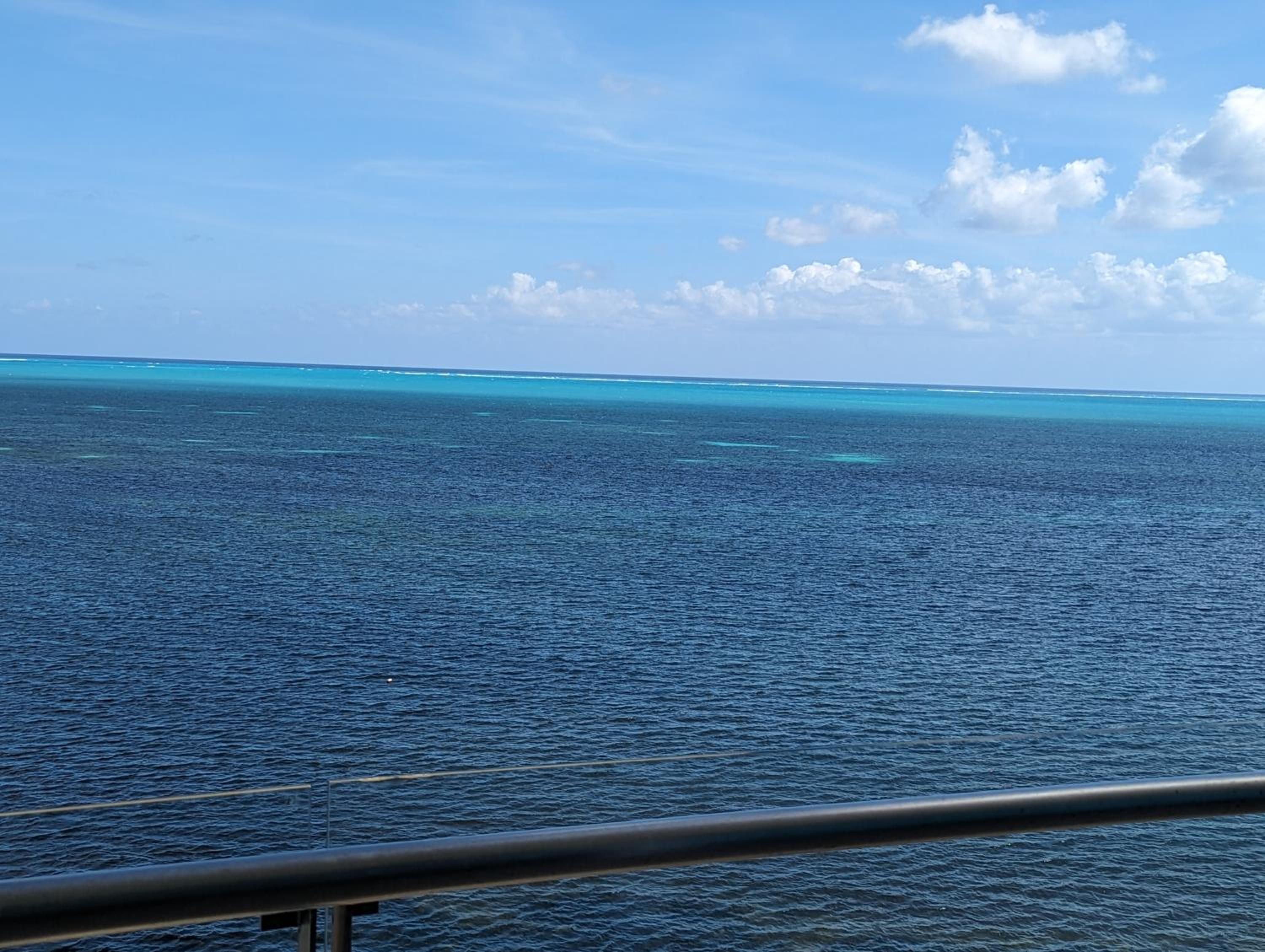 Peninsula Luxury Apartments with ocean front and espectacular views - no pets