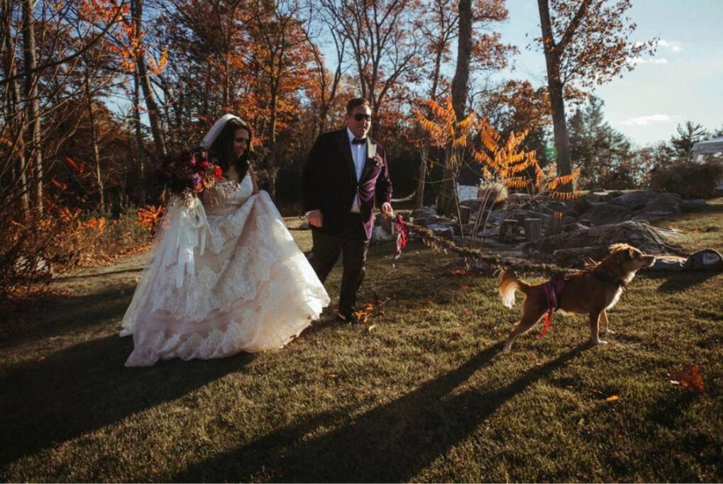 Magical Country Retreat in the Berkshires