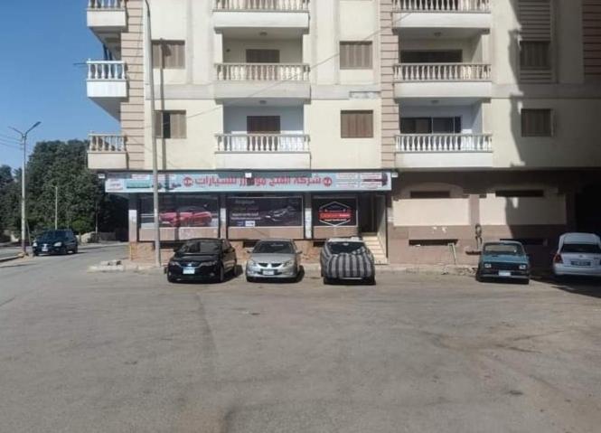 Furnished apartment in Minya with archaeological tours