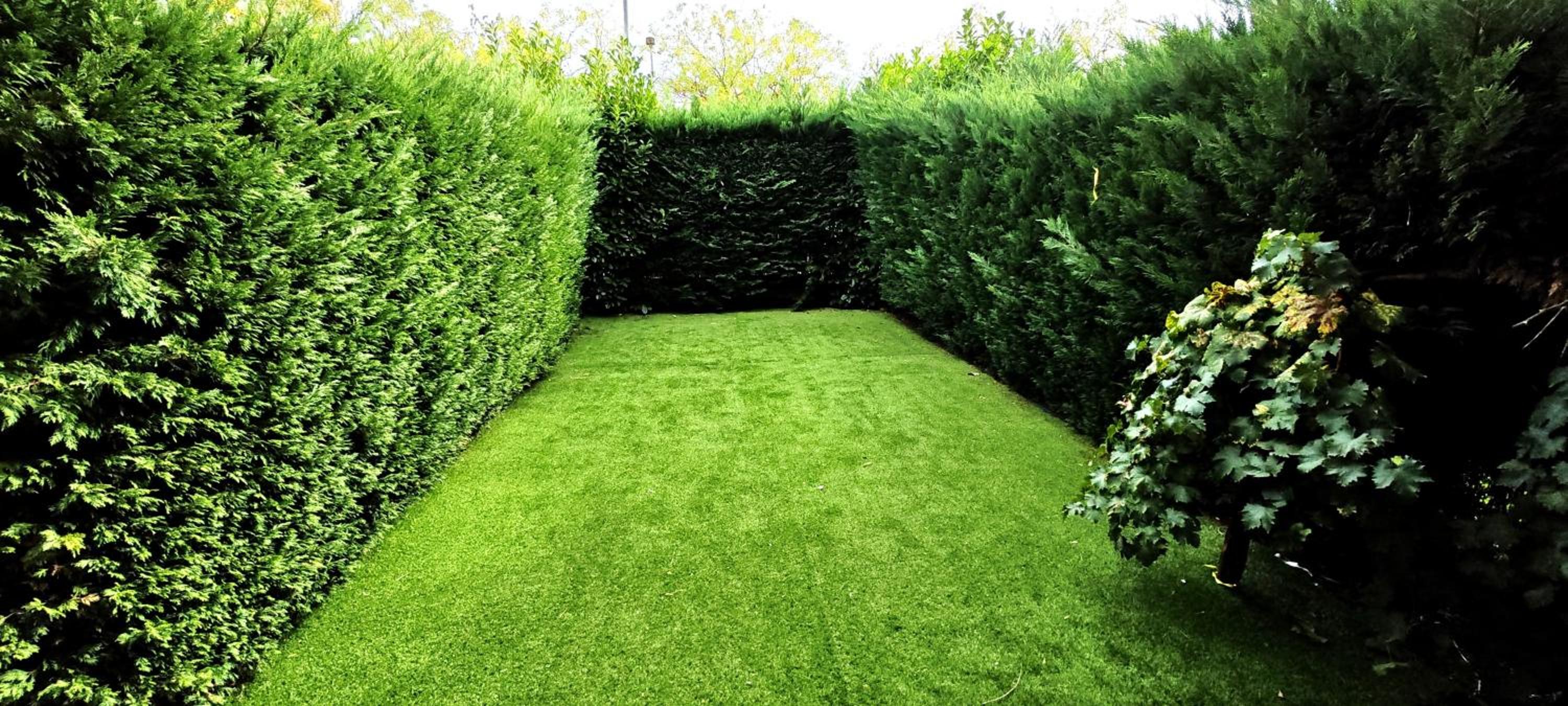 Vistas Río Tormes Huerta Otea