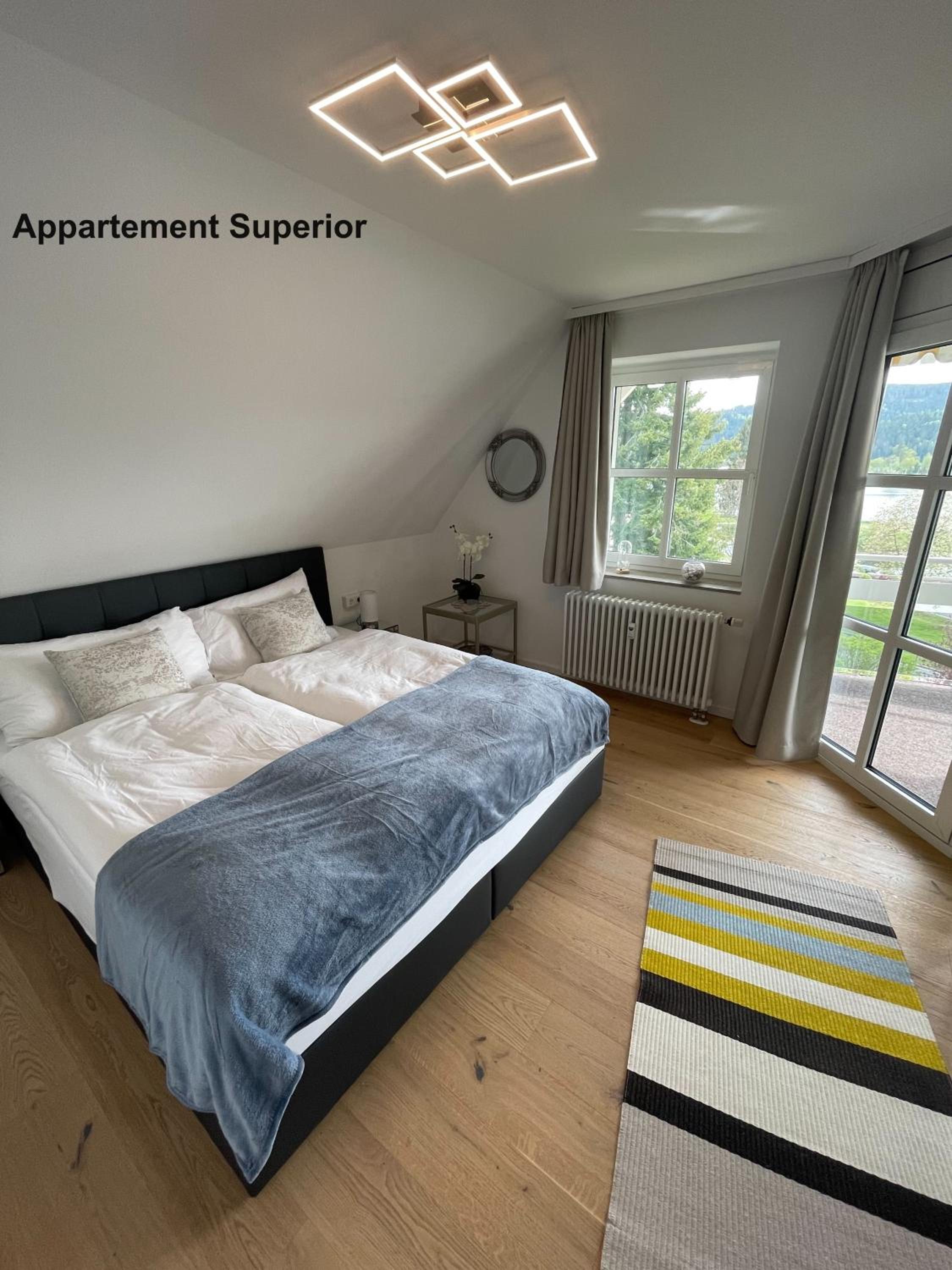 Villa Sunside Schluchsee - Appartements Modern Style & Superior view 3