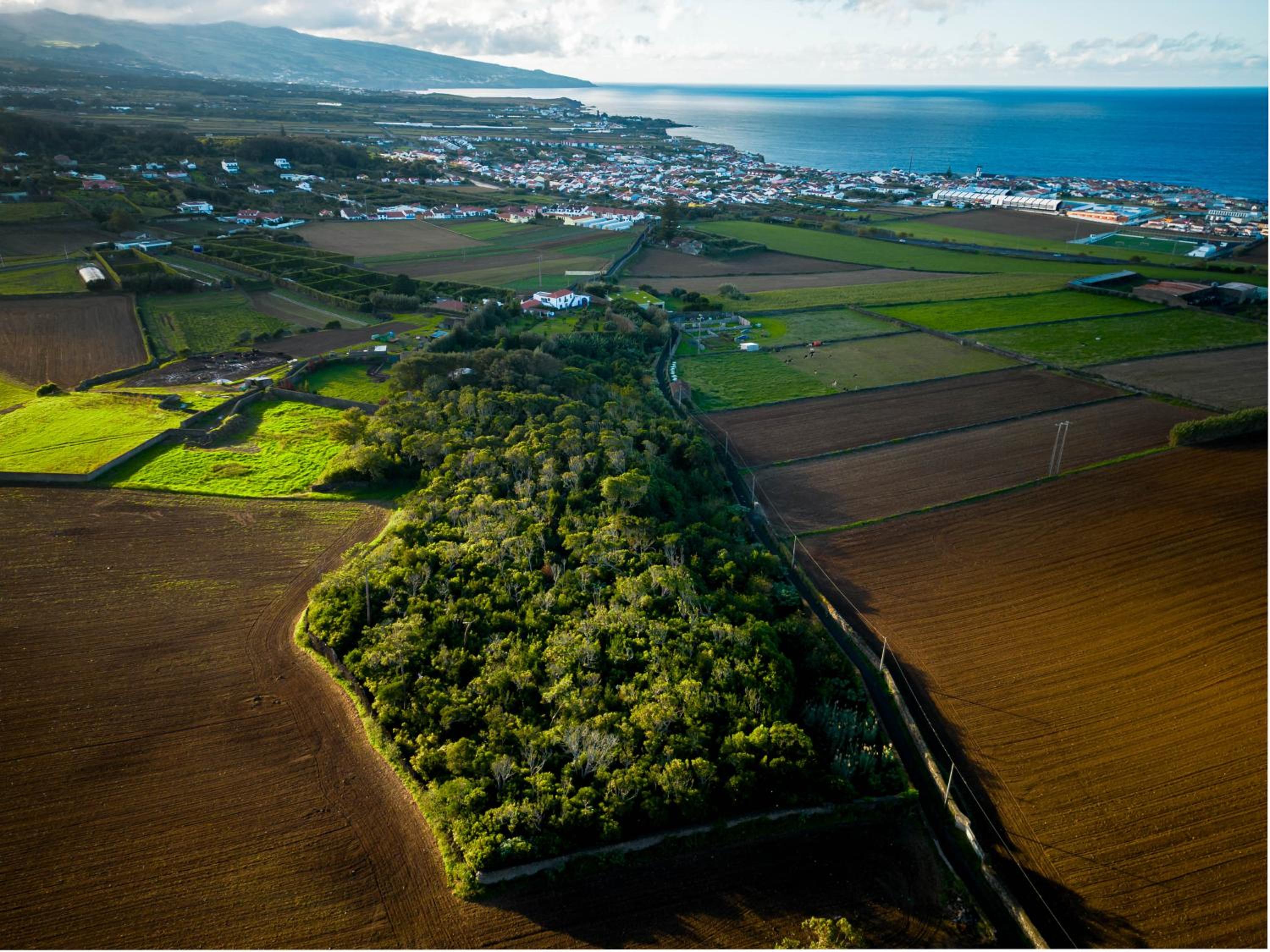 Quinta Morazes Casas de Campo view 3