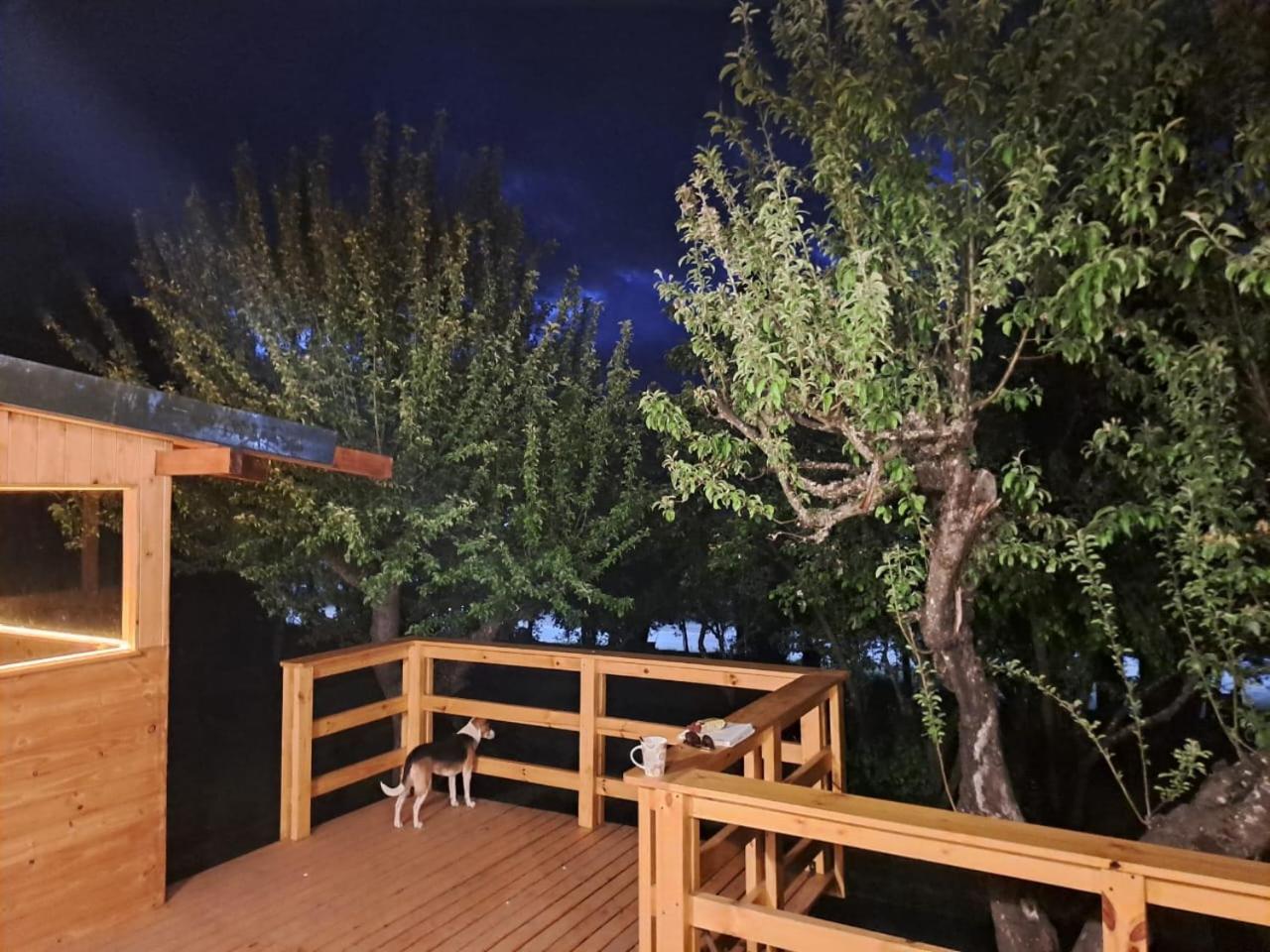 HOSTEL EL LIMON