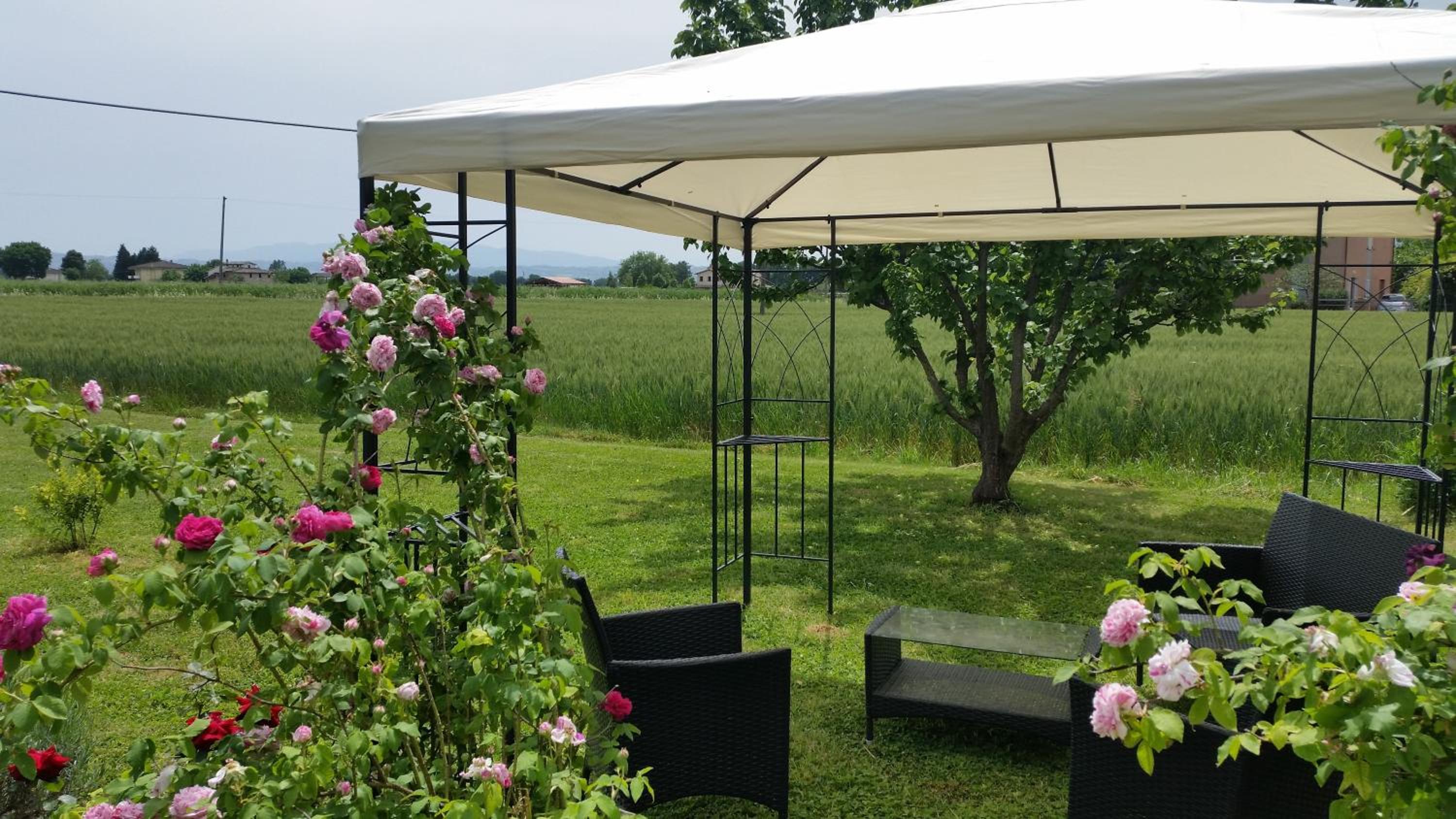 B&B Le Rose view 3