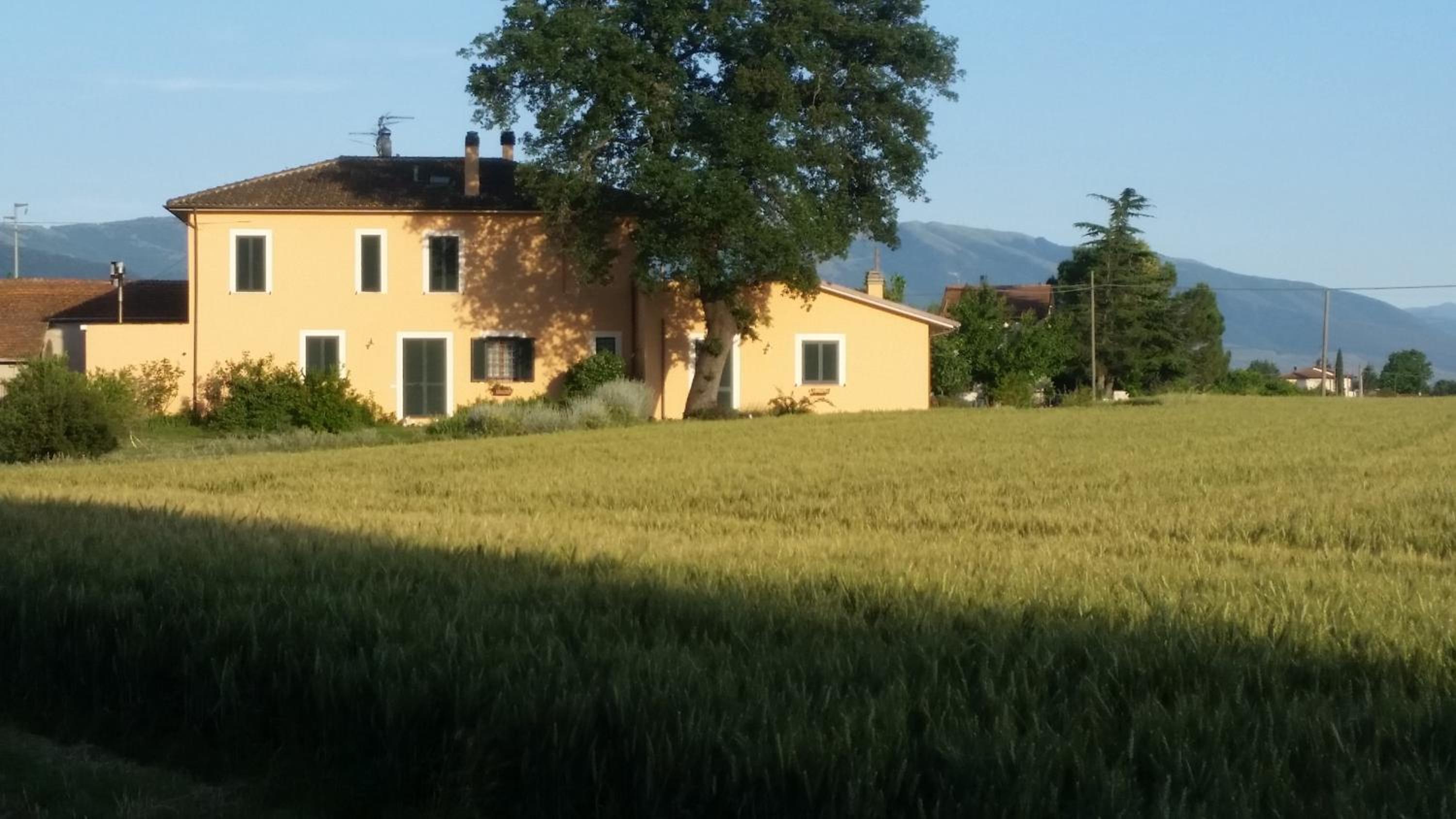 B&B Le Rose view 2