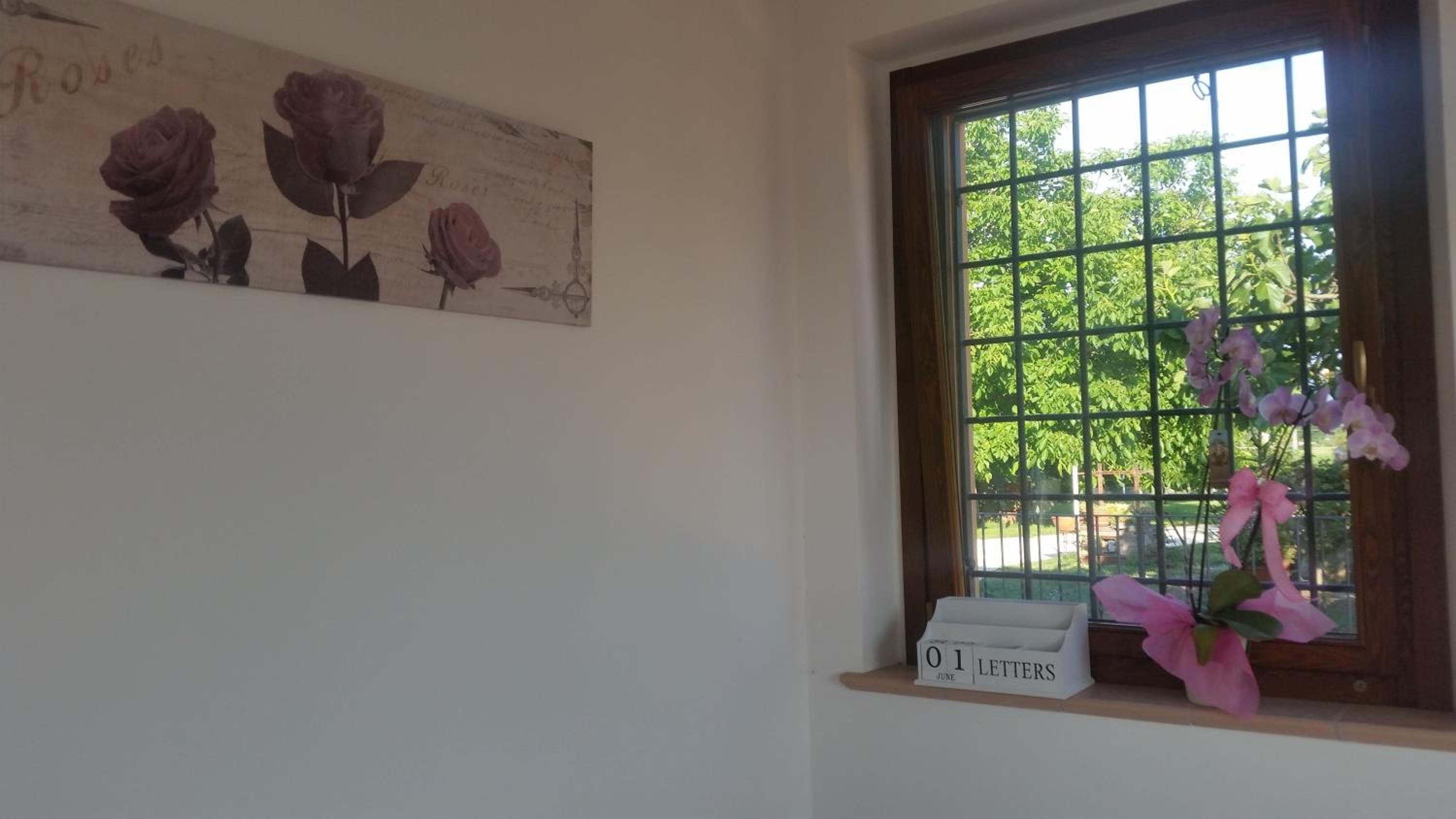 B&B Le Rose view 5