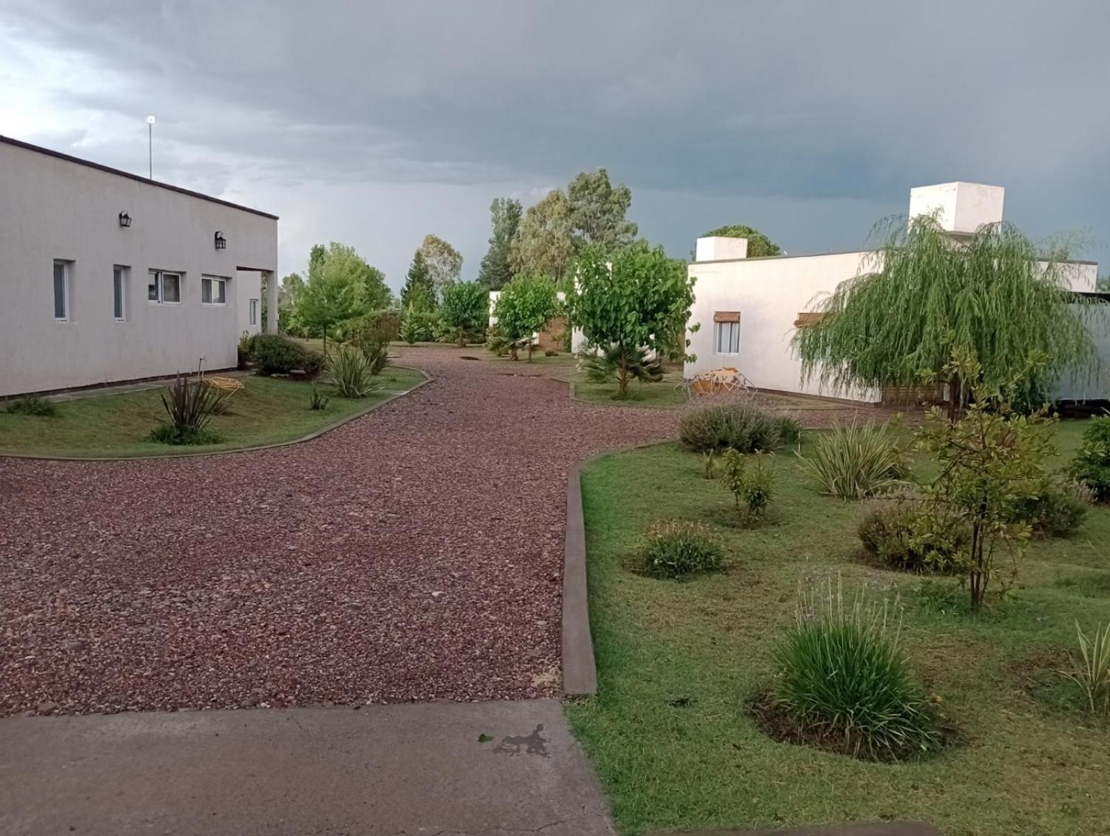Cabañas 6 Olivos