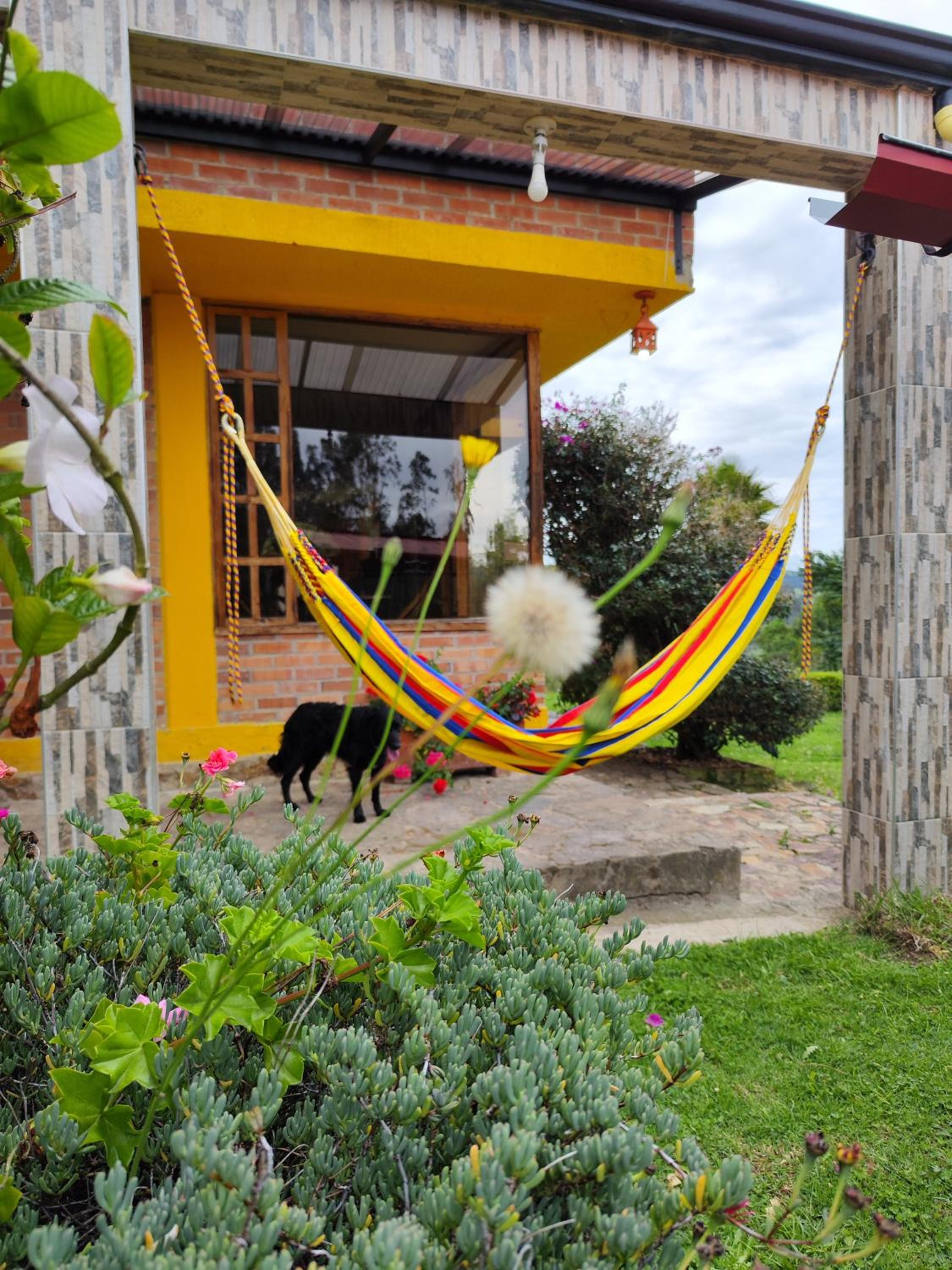 Bed&Breakfast - Mirador de San Marcos