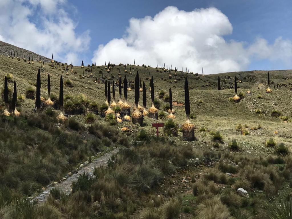 Amazing Huaraz