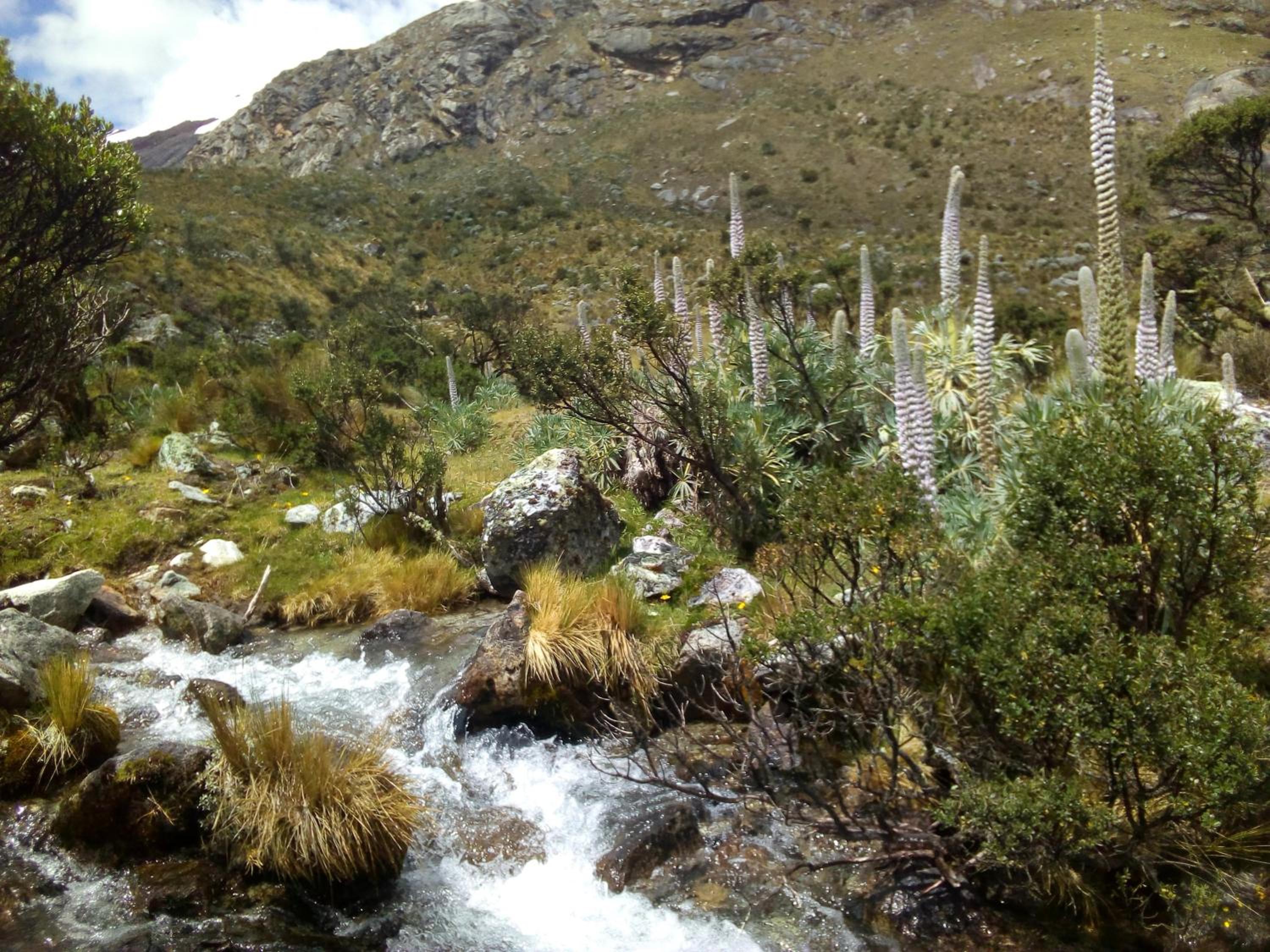 Amazing Huaraz