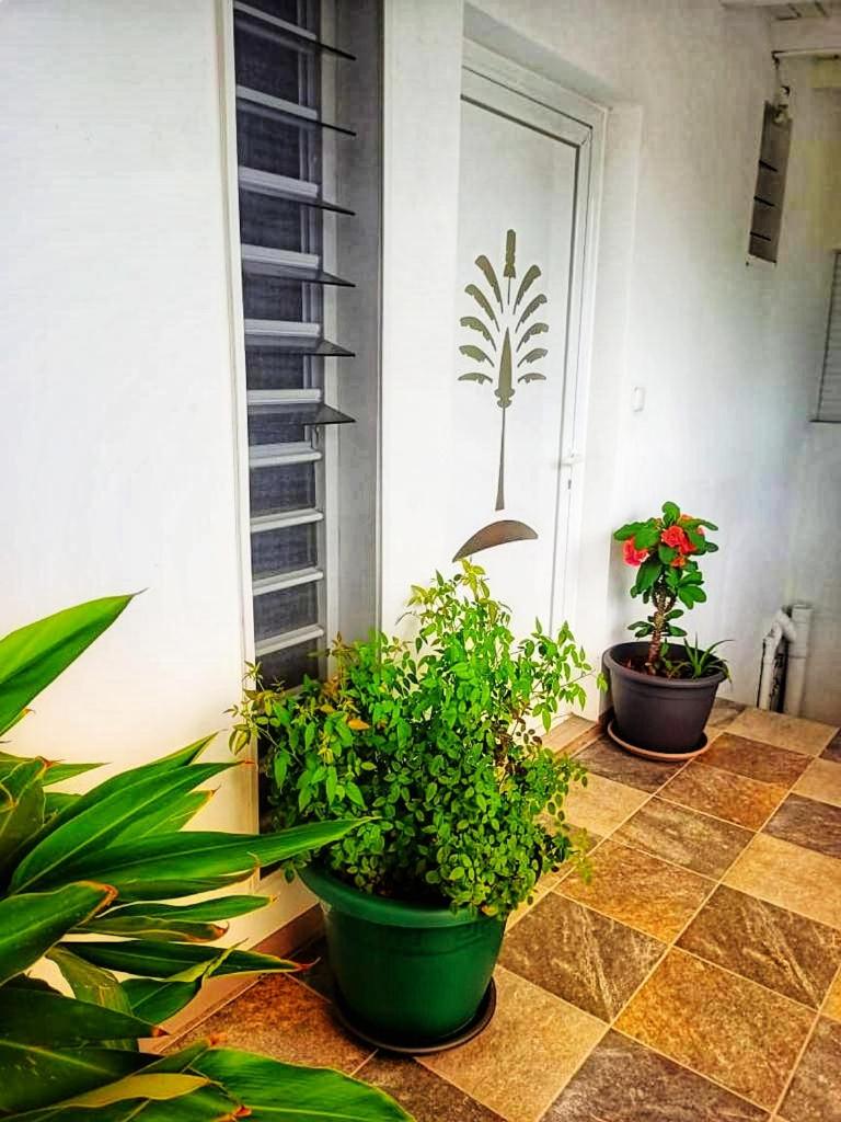 Le Balisier view 4