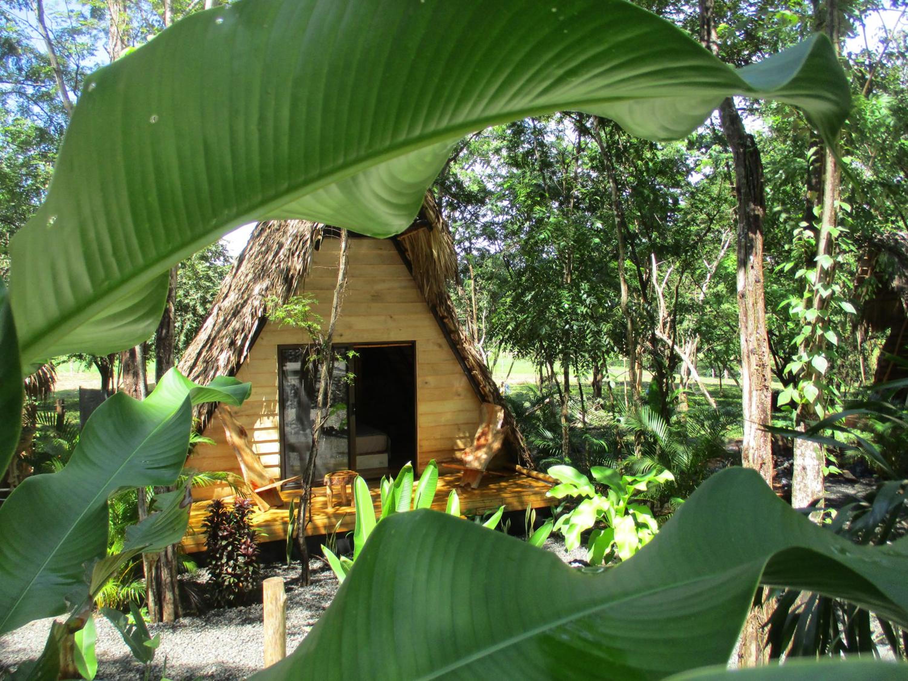 Cabinas de Lou Eco Lodge TAMARINDO